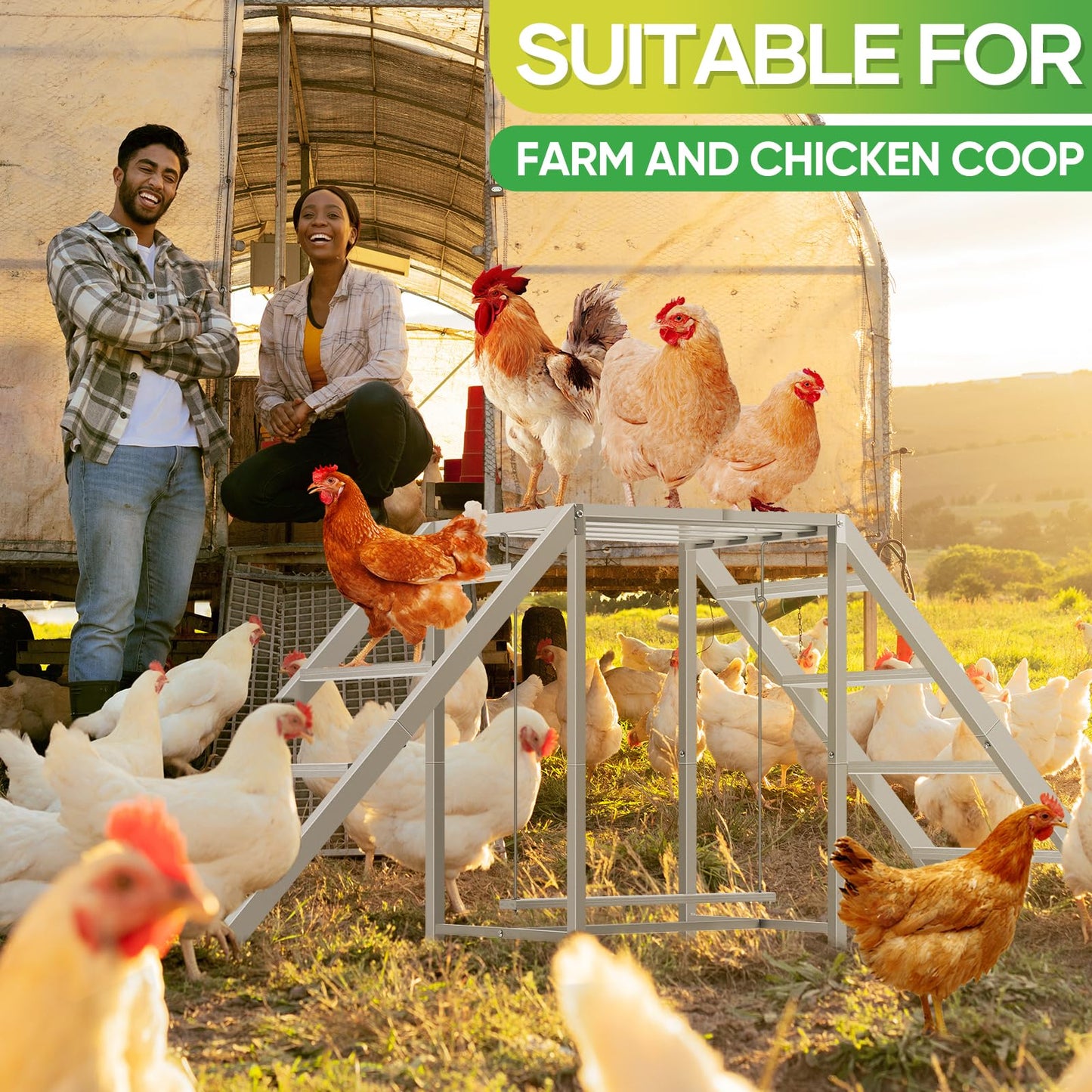 Chicken Coop Perches with Swing, Chicken Roosting Bars, Chicken Run Accessories Toy, Wooden Ladder for Pet's Healthy & Happy, Sturdy and Easy to Clean, Suitable for Backyard Farm,Gray