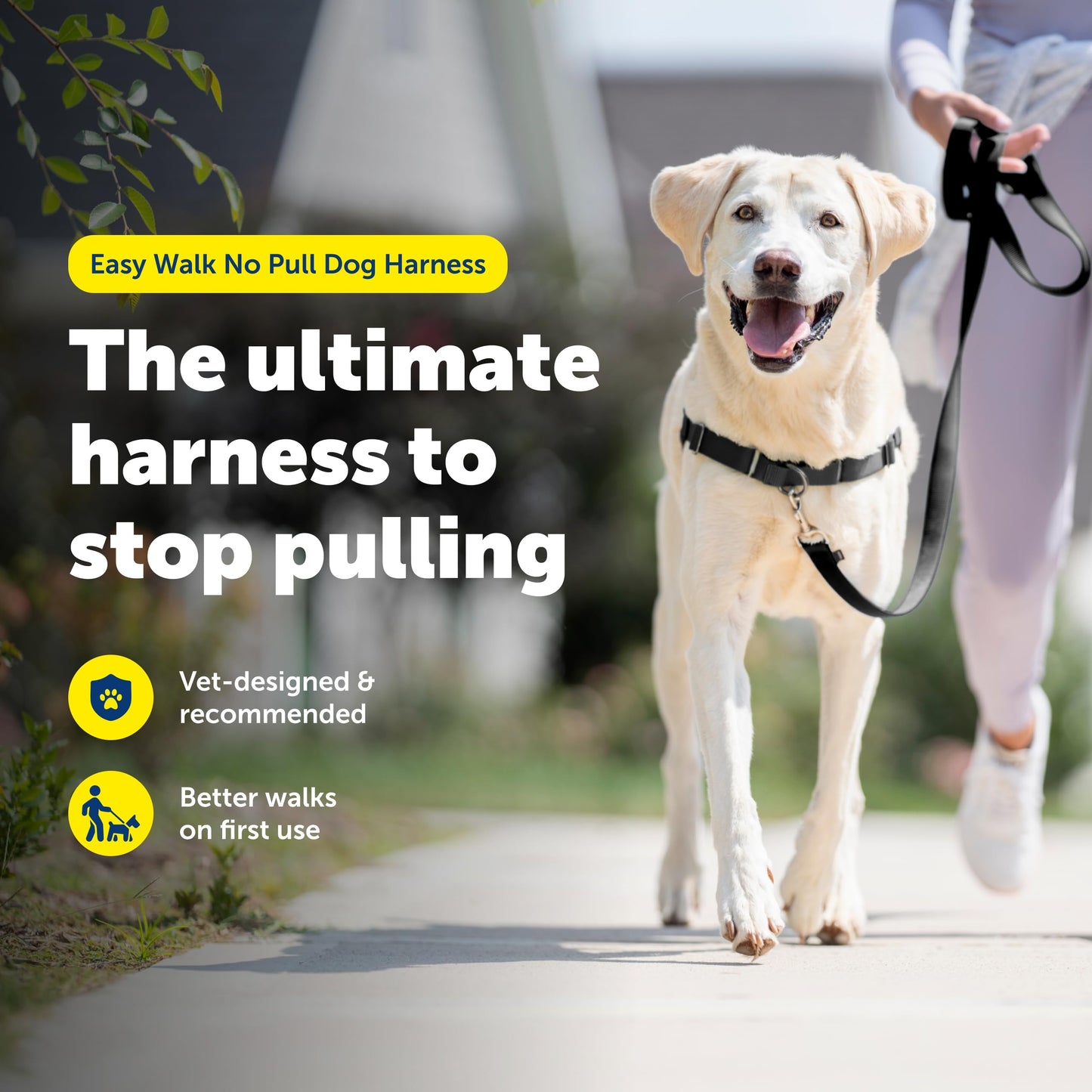 PetSafe Easy Walk No-Pull Dog Harness - The Ultimate Harness to Help Stop Pulling - Take Control & Teach Better Leash Manners - Helps Prevent Pets Pulling on Walks - Large, Charcoal/Black