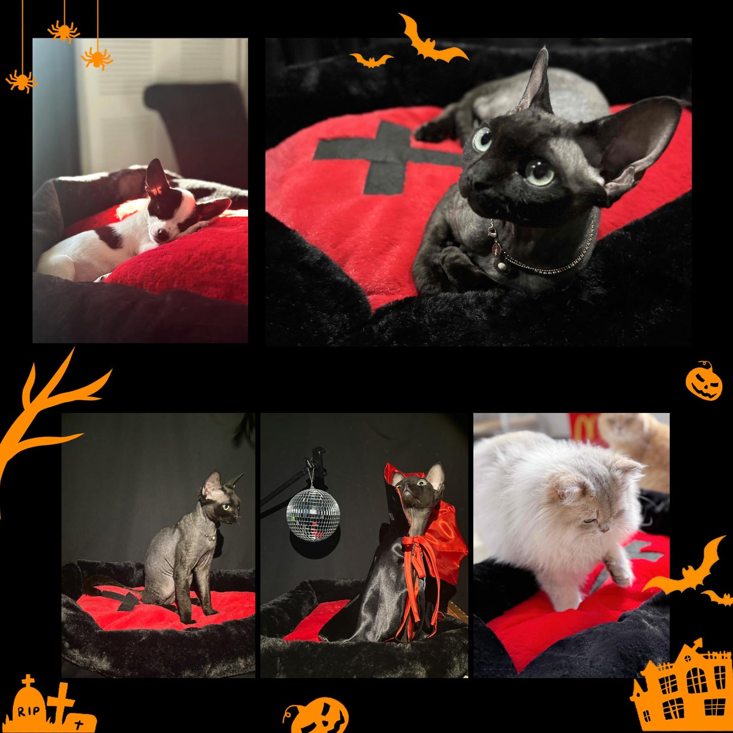 Gothic Cat Beds - Large Washable Coffin Bed, Fluffy - Fits Up to 40 lbs, Halloween House - 32 * 22.4 Inch - Red & Black