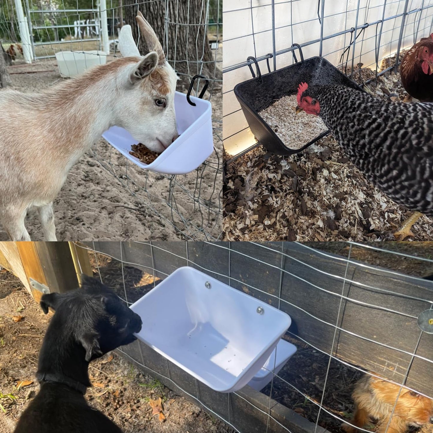 Chicken Feeder Hanging Feed Trough Waterer Bucket for Duck Goose Goat Sheep Dog Poultry & Small Livestock in Coop & Farm Goat Supplies Feeder (4, Black)