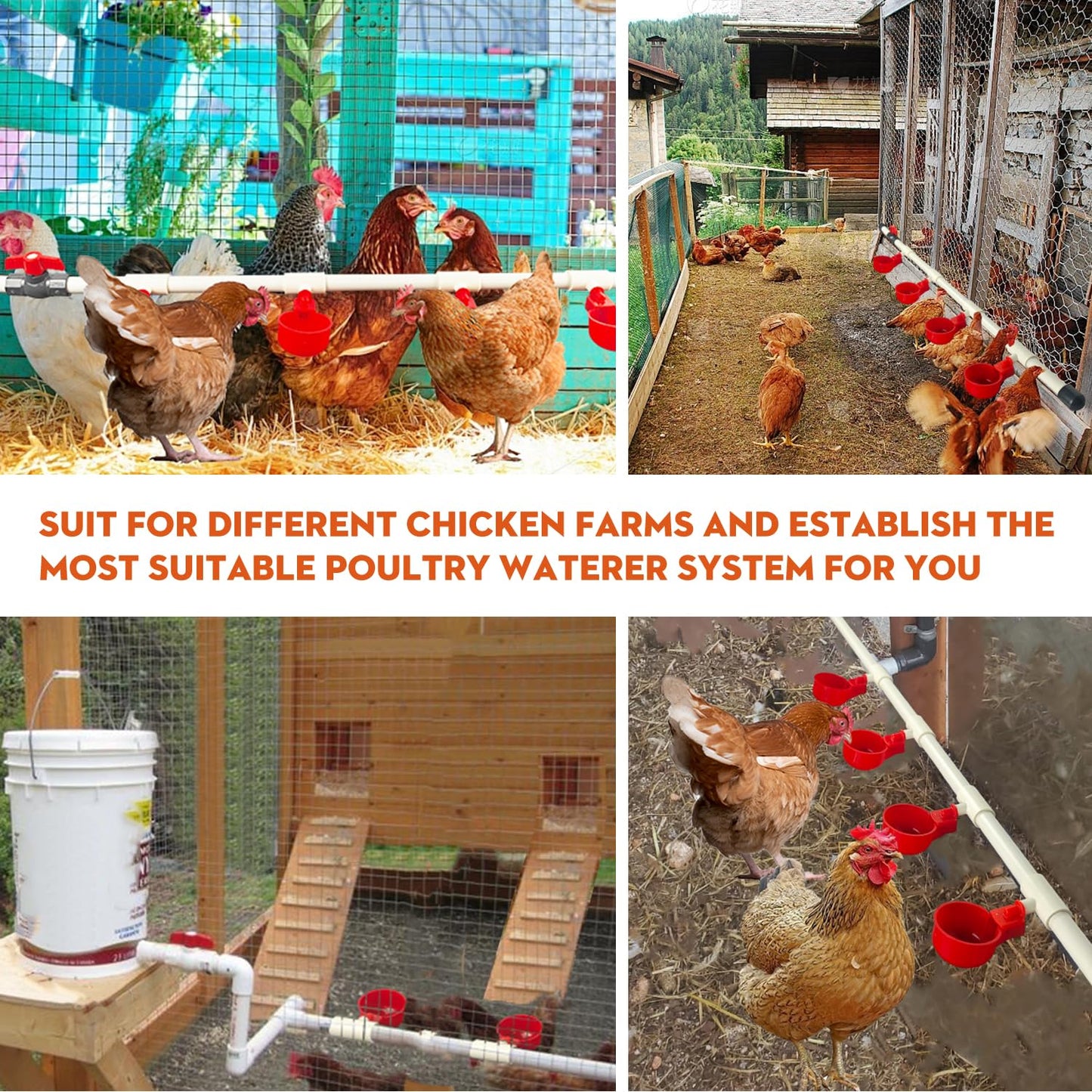 Ayakol Automatic Chicken Waterer System, DIY Poultry Pipe Water Feeder Set, Include 8 Chicken Water Cups, Coop Automatic Clean Waterer, Suitable for Chicken Duck Quail Pigeon