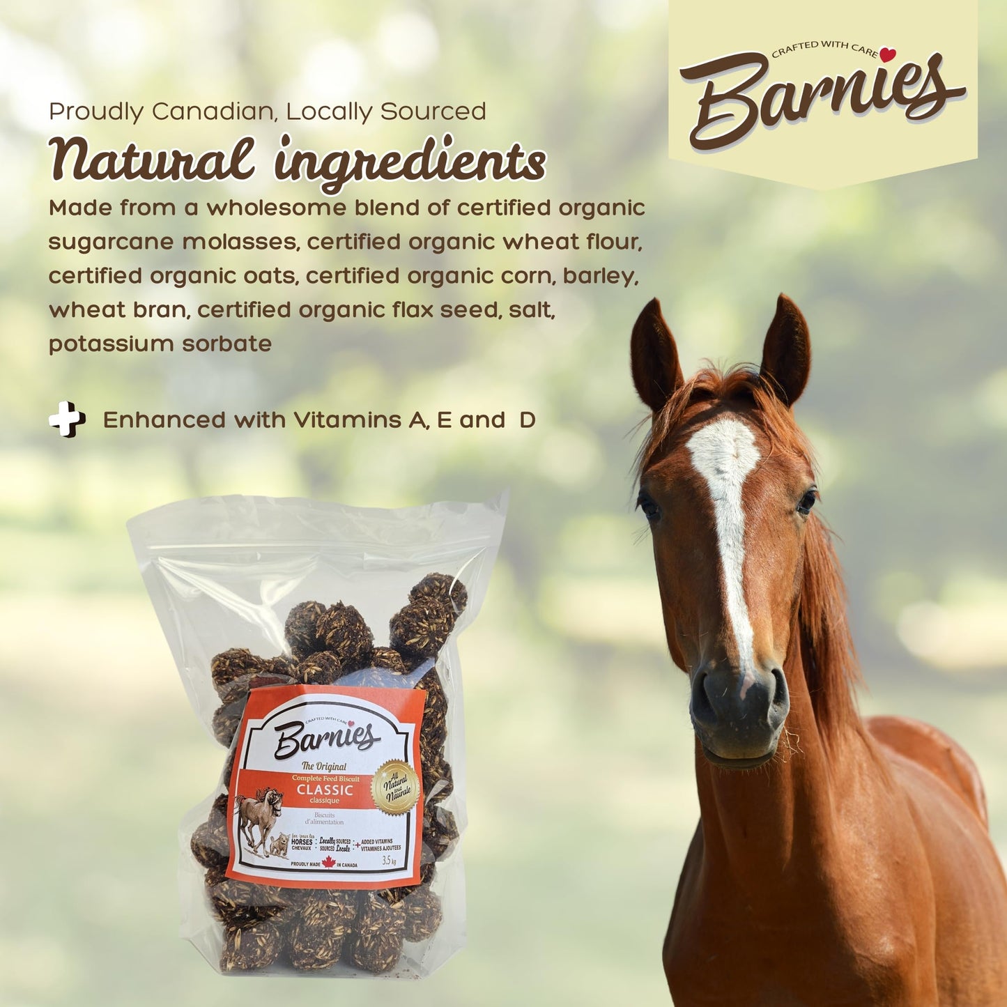 Barnie’s All-Natural Horse Treats – Vitamin-Enhanced, Locally Sourced, Canadian-Made Biscuits for Horses | 4 Flavours (1.5kg, Classic)