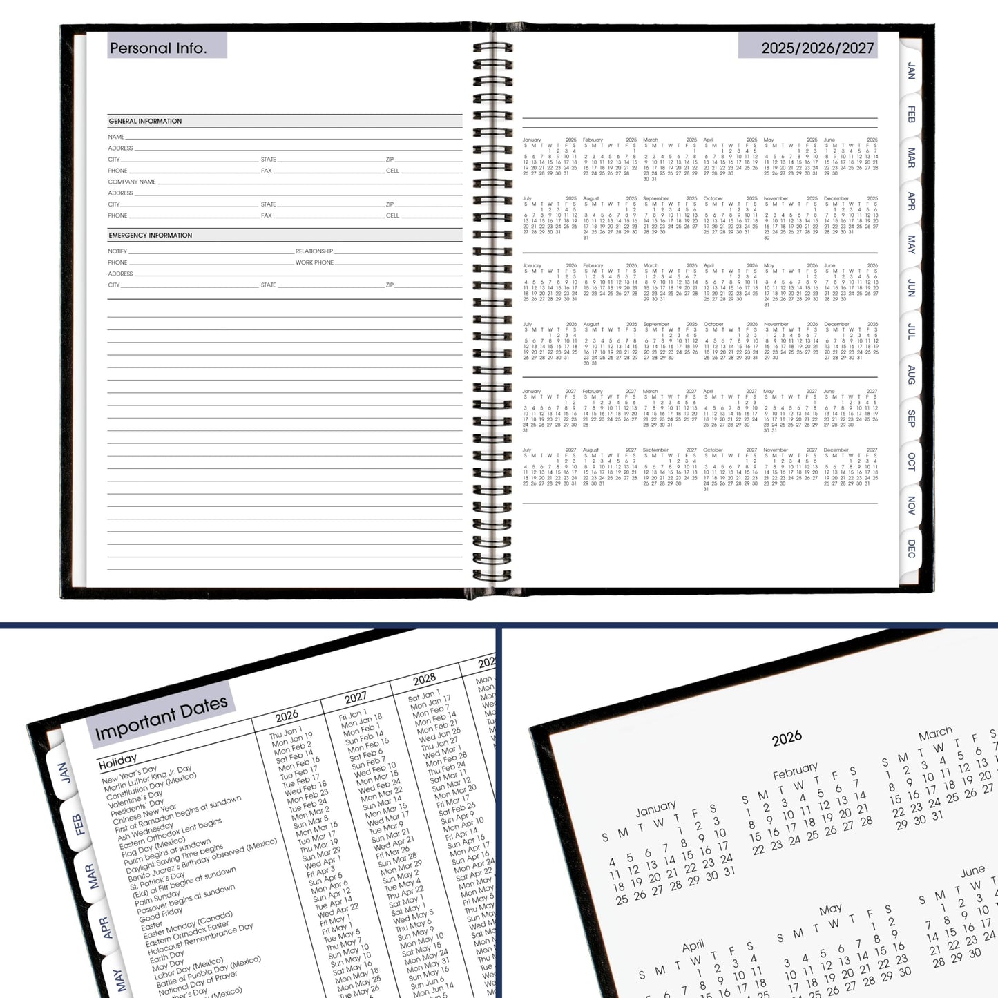 AT-A-GLANCE 2026 Appointment Book Planner, Weekly, 8" x 11", Large, Quarter-Hourly, Hardcover, DayMinder, Black (G520H0026)