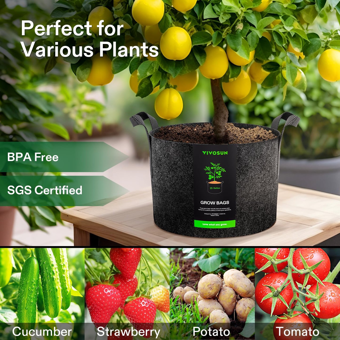 VIVOSUN 5-Pack 20 Gallons Grow Bags Heavy Duty Thickened Nonwoven Fabric Pots with Handles