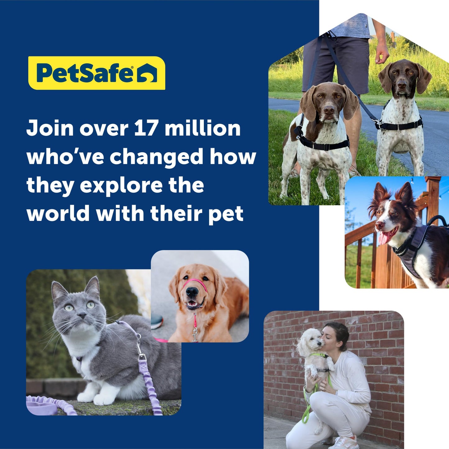 PetSafe Easy Walk Harness, No Pull Harness for Dogs, Adjustable Harness with Included Matching Lead Black Medium