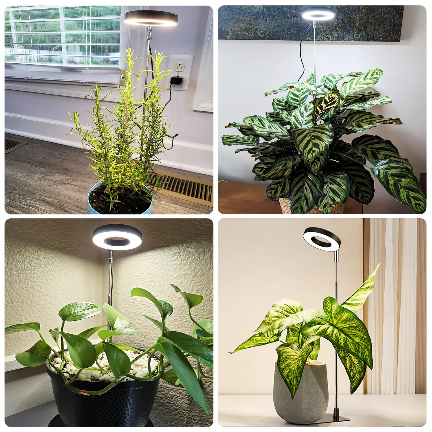 Plant Light for Indoor Plants, 48 LEDs Full Spectrum Growing Lamp, Height Adjustable Stand with Base, 3/9/12H Timer, 10 Brightness Levels, Black, 3 Pack
