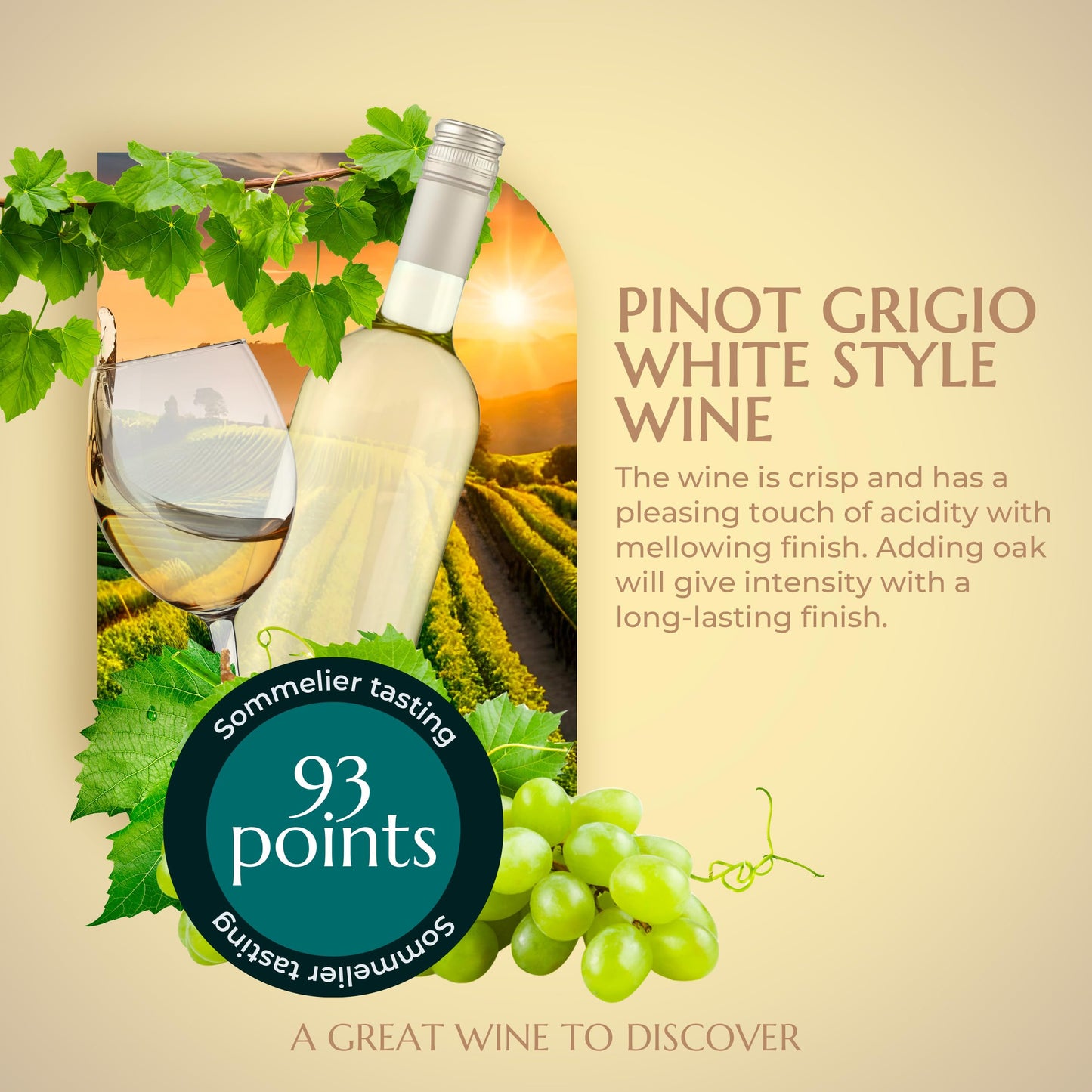 BestwineAmerica Miracle Grape Extraction – White Style Wine Making Kit – 2L Wine Kit Makes 23L of Wine (30 x 750 ml Bottles of Wine) - Pinot Grigio