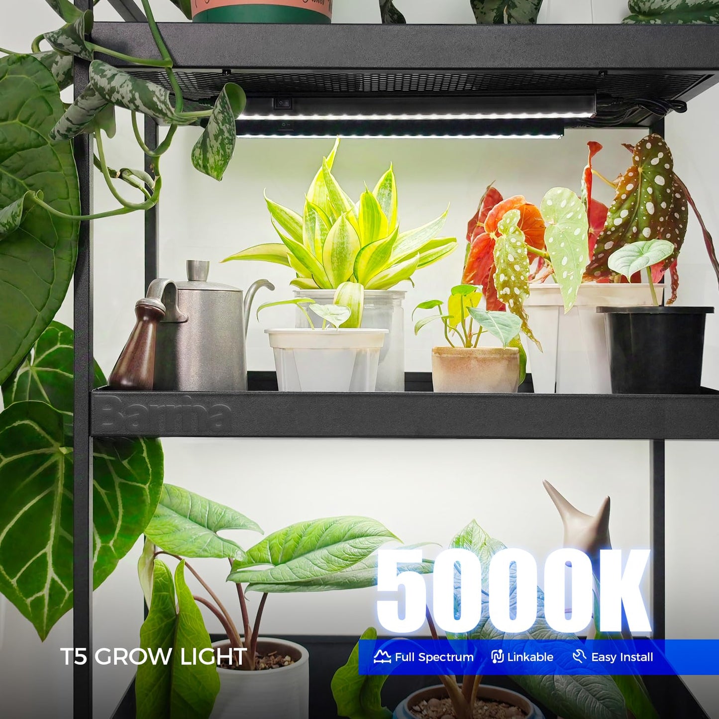 Barrina Plant Grow Lights, 5000K Full Spectrum Daylight White, T5 LED Grow Light Strips, 1ft Growing Lamp with Magnetic Bar, Plant Lights for Indoor Plants,Black Cover, Linkable, 8 Packs