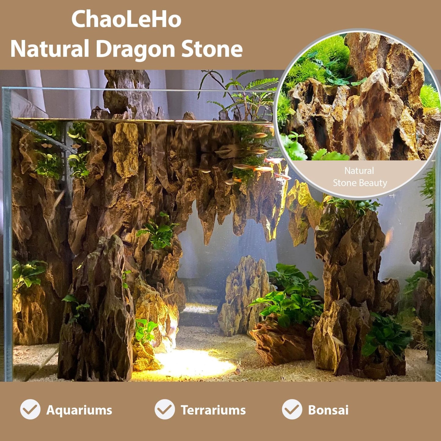 ChaoLeHo Dragon Rocks Aquariums Stones Natural Rocks for Aquascaping, Aquariums, Terrariums, Vivariums Decorative Stone,Reptile Enclosures,Paludariums,and Gardens-10LB(2 to 7 inch)