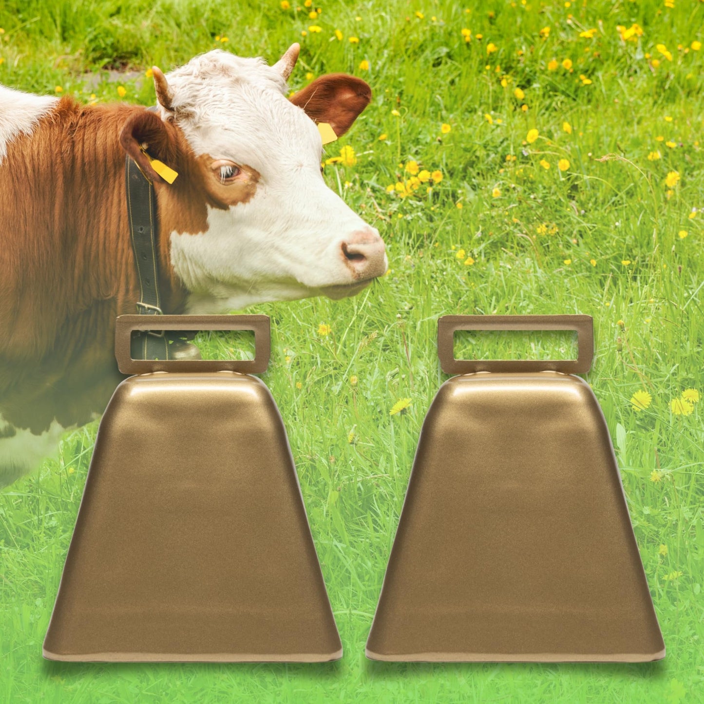 Bevin Bells Long Distance Cow Bells 10LD (Gold & Gold) | Christmas Bells | Made from Steel | Loud Noise Makers | w/White Strap Around The Handle | Easier to Hold | Made in CT, USA
