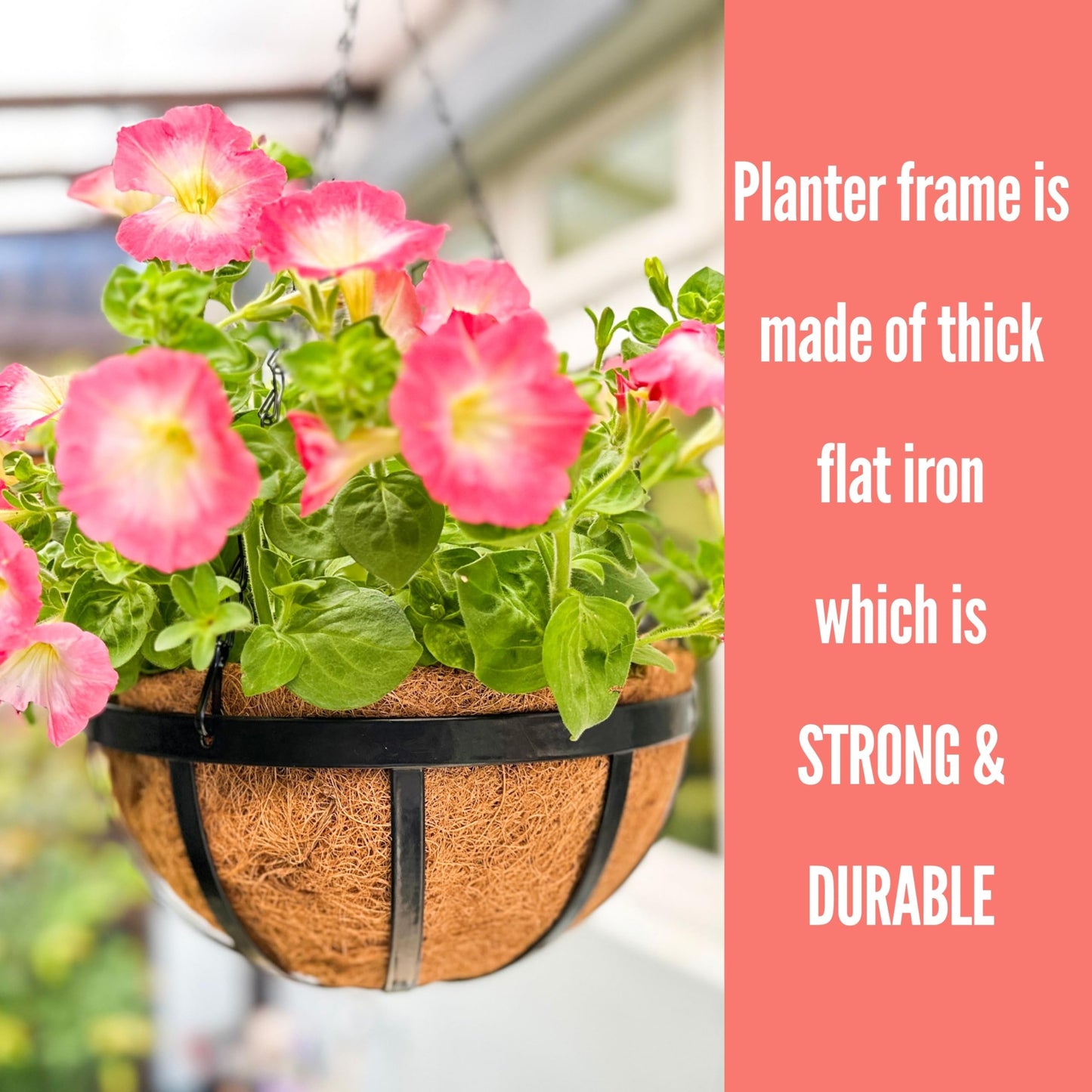 LaLaGreen Outdoor Hanging Baskets for Plants (14 Inch, 4 Pack) Large Hanging Planter with Coco Liner, Round Plant Flat Iron Metal Flower Pots for Deck Patio Porch Garden Balcony Outside Decoration