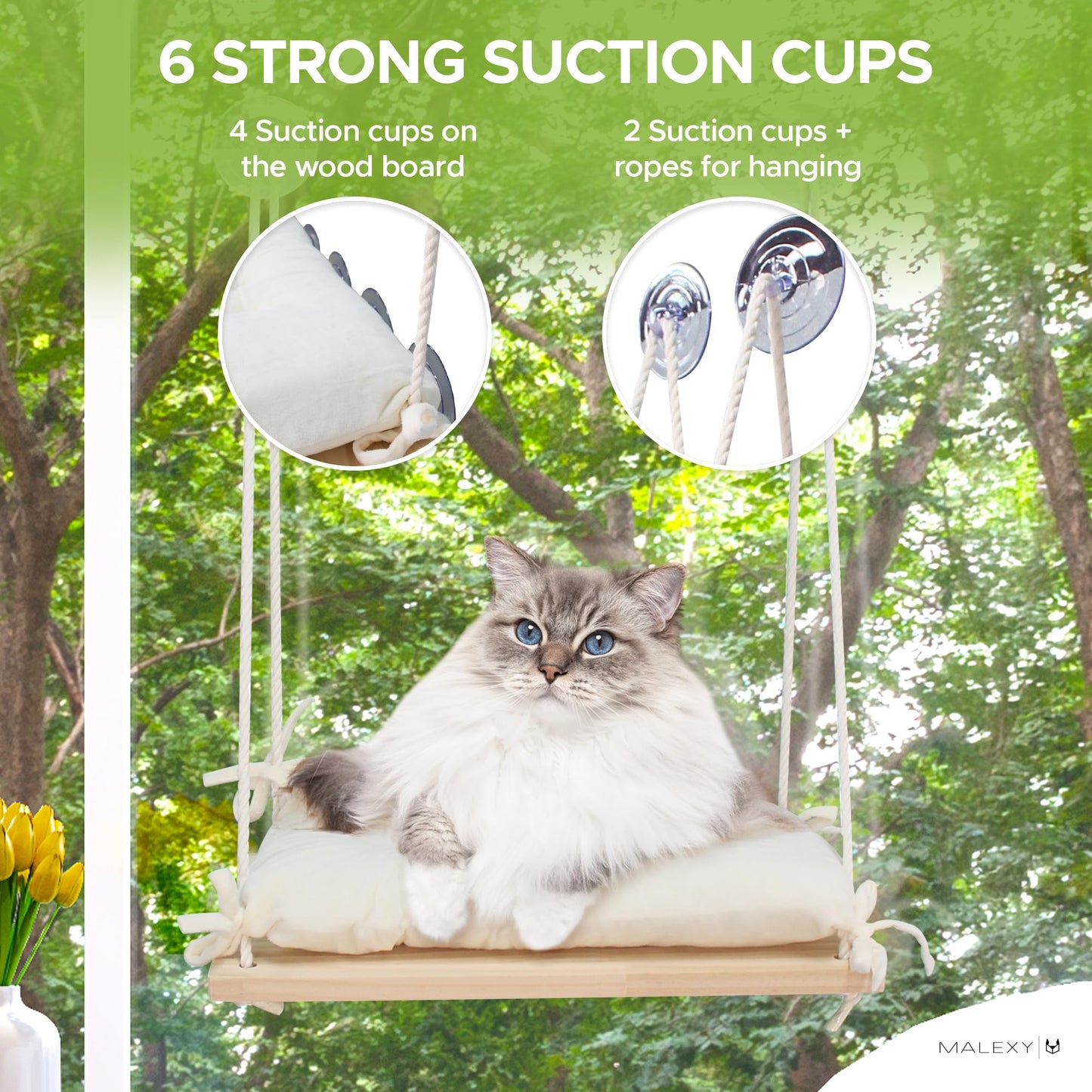 Cat Window Perch, Indoor Bed for Feline, Safety Shelves Space Saving Window-Mounted, Hammock, Sturdy Screw Suction Cups for Large Breeds & Kittens