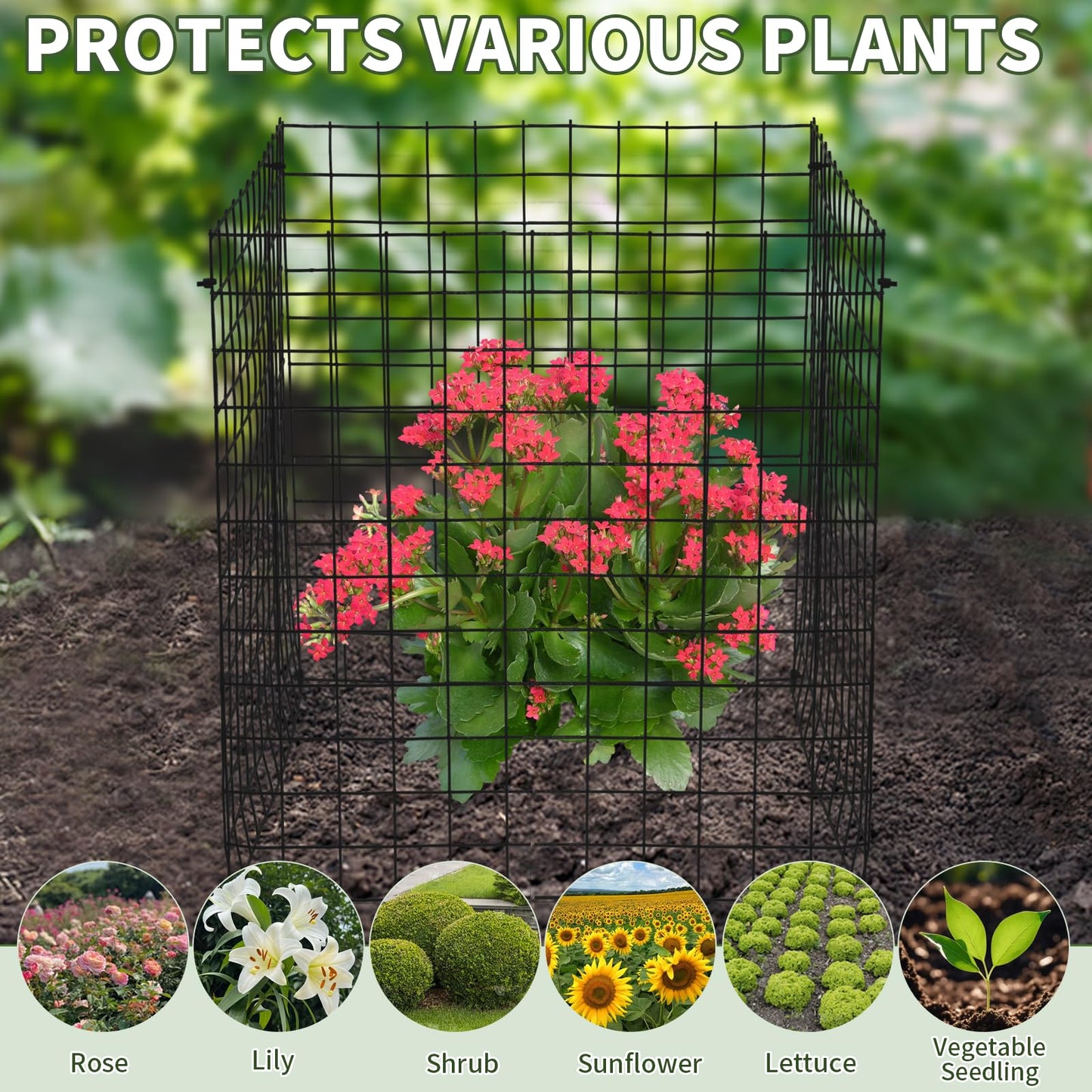 10 Set Garden Plant Protector from Animals with Ground Stakes 12.4" H X 16" D Metal Mesh Plant Cage Covers Sturdy Garden Rabbits Barricades Chicken Wire Cloche for Plants Shrubs Vegetables Flowers