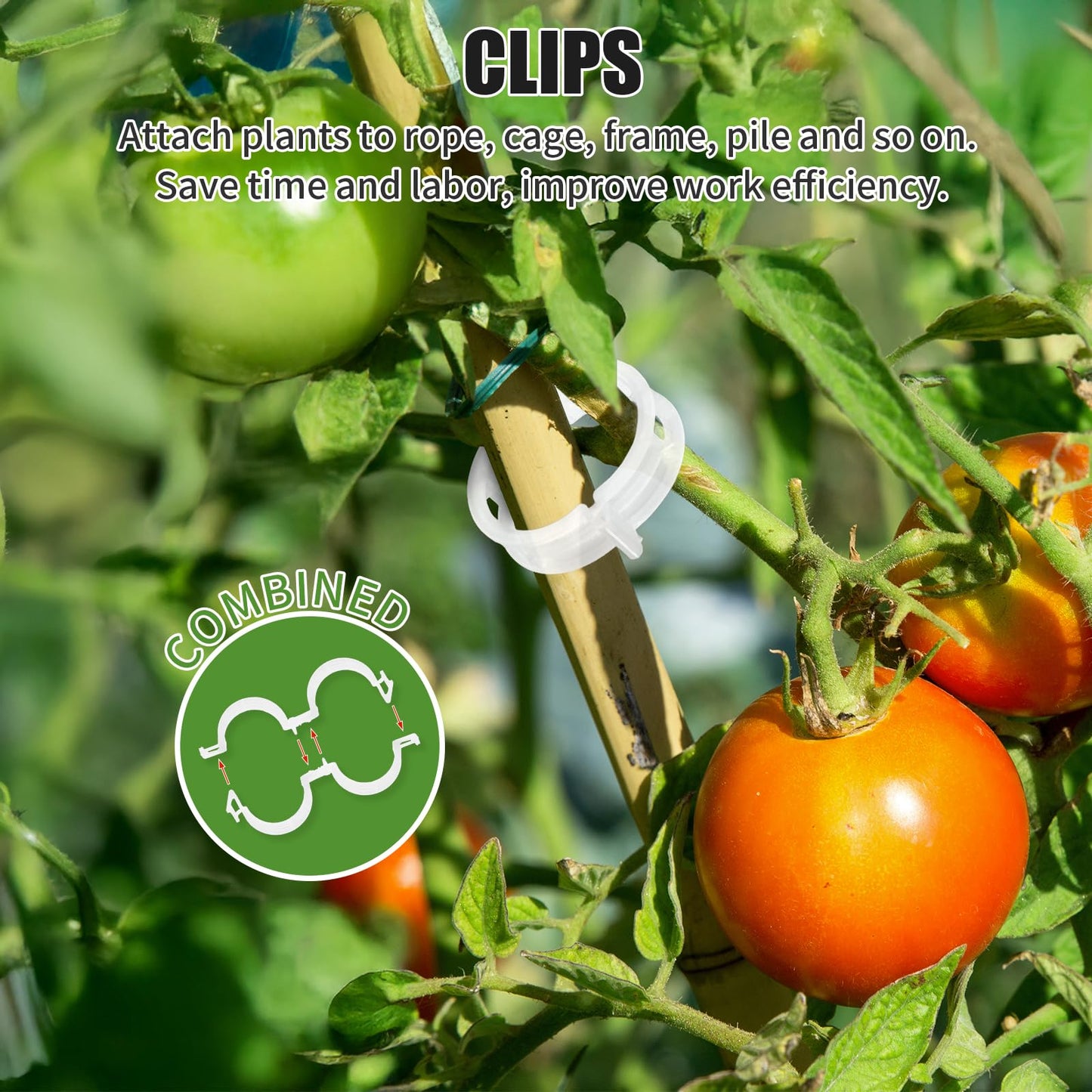 190pcs Tomato Hooks with String with Tomato Plant Support Clips, J-Hook, Tomato Holder Hooks with 33.3ft Tomato Twine for Climbing Plants Tomato Cucumber Cherry Vegetable