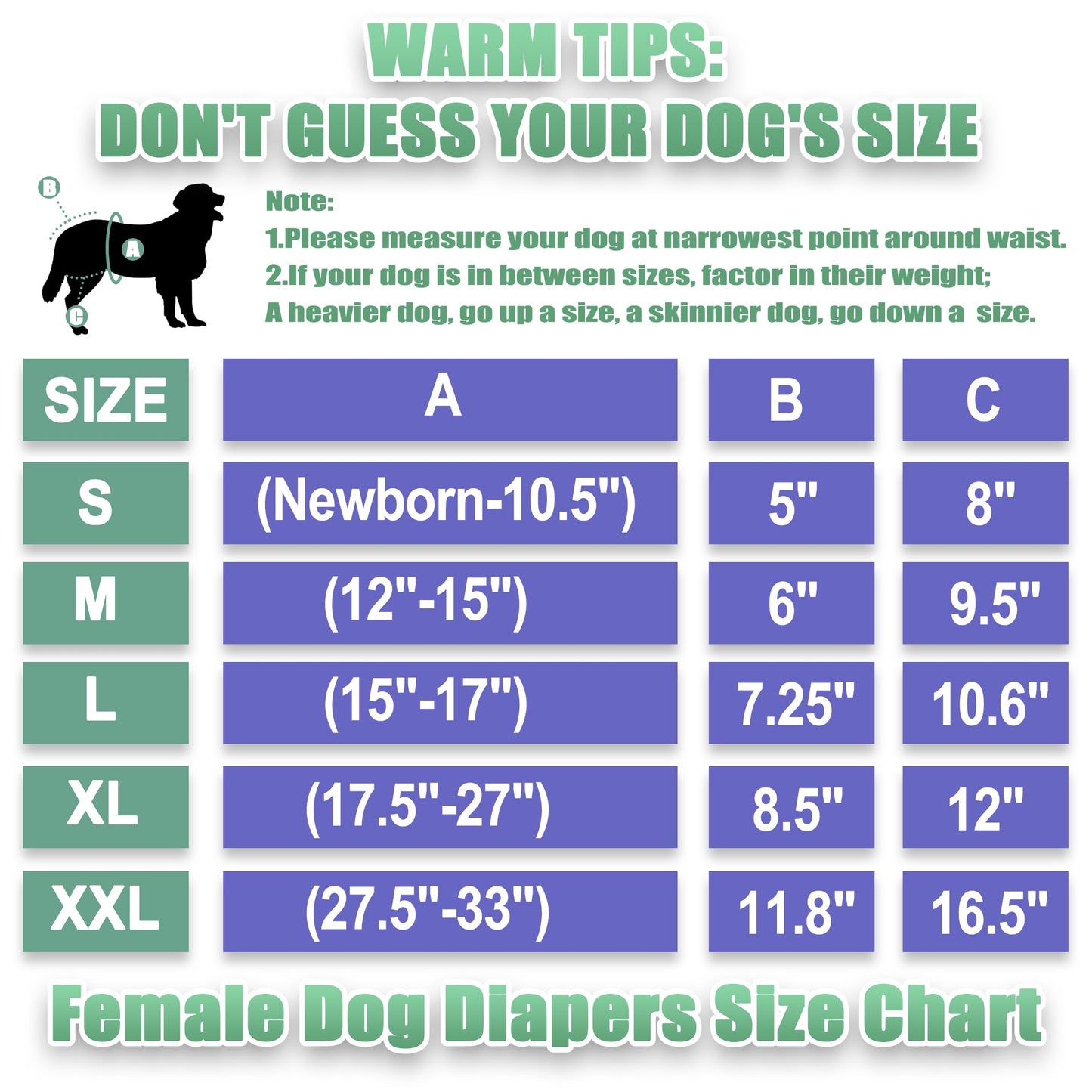 wegreeco Washable Reusable Premium Dog Diapers,Pack of 3,Small Dog Puppy & Doggy Diapers Female,Dog Period Panties Diapers Female in Heat Colourful XXL
