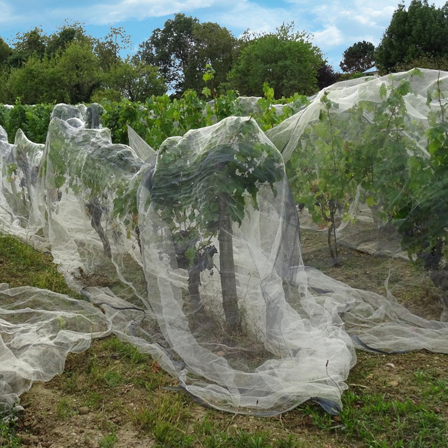 33 x 13 Ft Garden Plant Mesh Netting - Insect Bird Barrier Fine Mesh Net for Garden Protection - Garden Bug Netting Plant Cover for Protect Greenhouse Raised Beds Plant Fruits Tree Flower