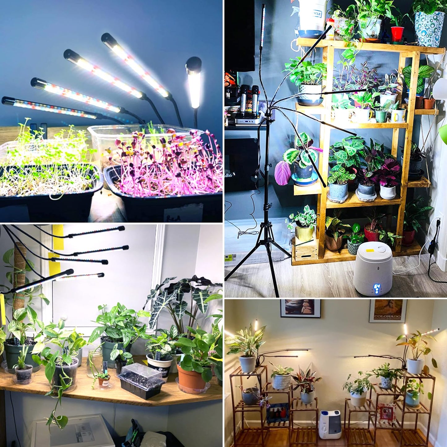 Wolezek Grow Lights for Indoor Plants Full Spectrum, 100 LEDs Plant Lights for Indoor Growing with Adjustable Stand, 5-Head Plant Grow Lamp with Auto 6/12/16H Timer, Ideal for Large & Tall Plants