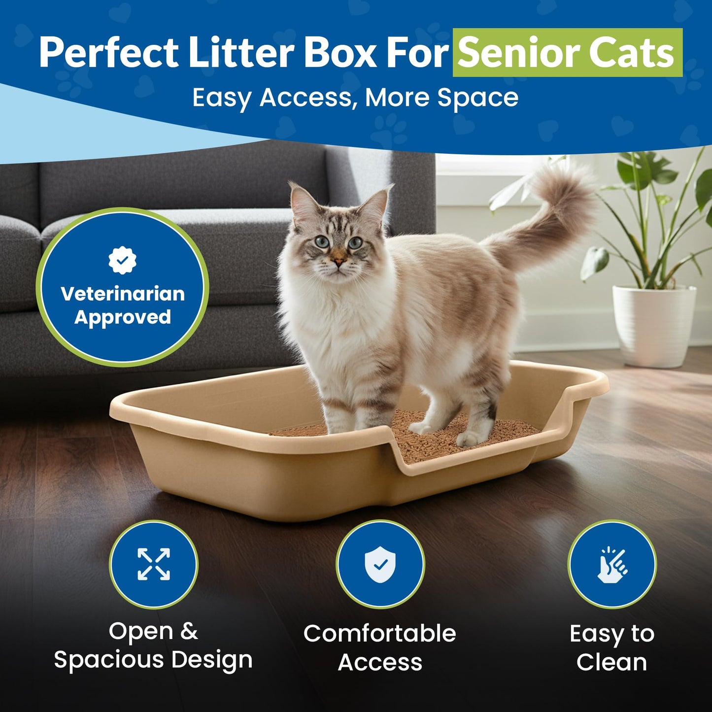 Kitty Go Here Senior Cat Litter Box for the Kitties that can't cope with a traditional litter box.