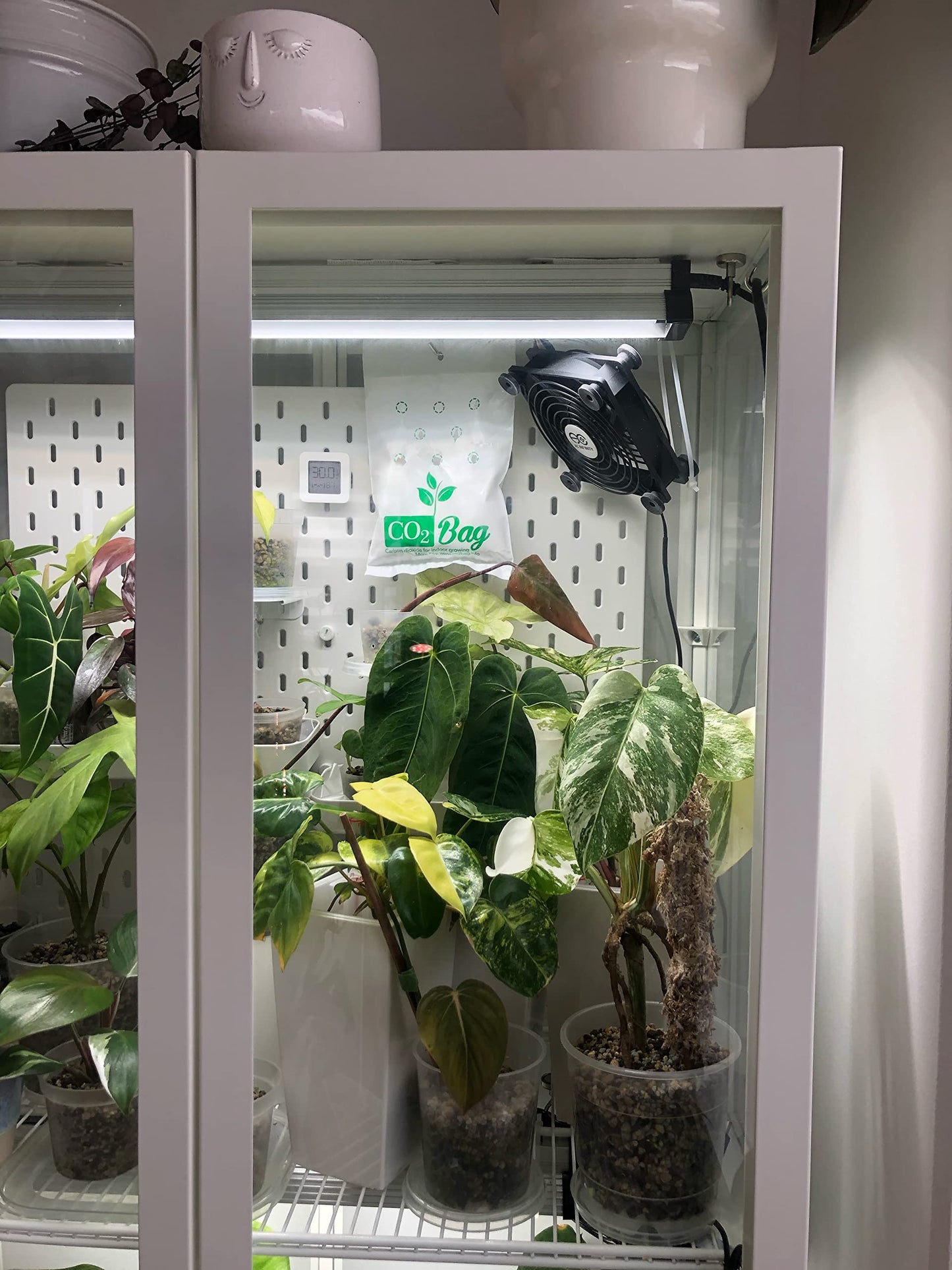 CO2BAG® M for Effective Growth | Improves Taste, Color & Yield | Compact & Maintenance-Free for Indoor Growing and Greenhouses. -2-Pack-