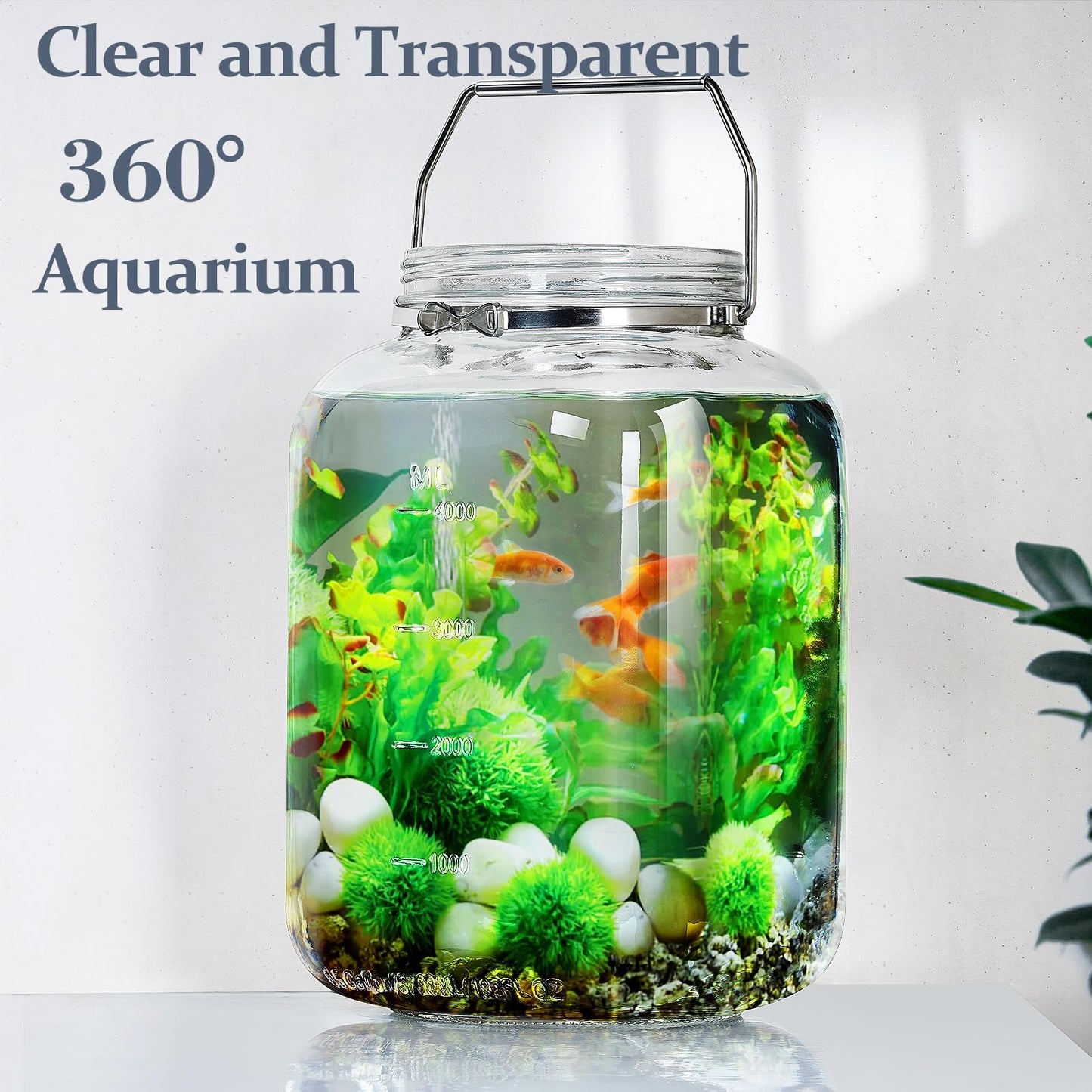 2 Pack 1.5 Gallon Glass Jar with Lid Wide Mouth, Large Mason Jar with Airtight Screw Lid and Handle, Clear glass storage containers with 2 Scale Mark for Flour, Cookie, Candy