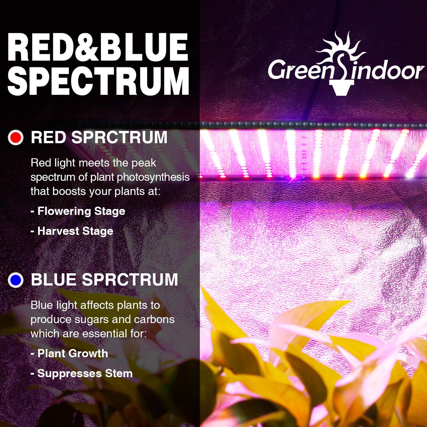 SEAMETAL LED Grow Lights Indoor Plants 300W Full Spectrum Led Growing Lamp Red Blue Hydroponic Plant Light Bulb for Seedling Flowers Greenhouse Garden (2 Packs)