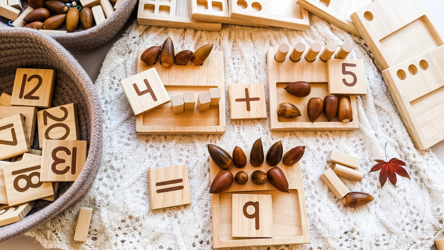 LITTLE BUD KIDS Counting Pegs Ten Frame Math Game - Number Peg Boards with Addition & Subtraction Flash Cards, A Number Learning Resources Toddler Math Puzzle & Kindergarten Montessori Toy