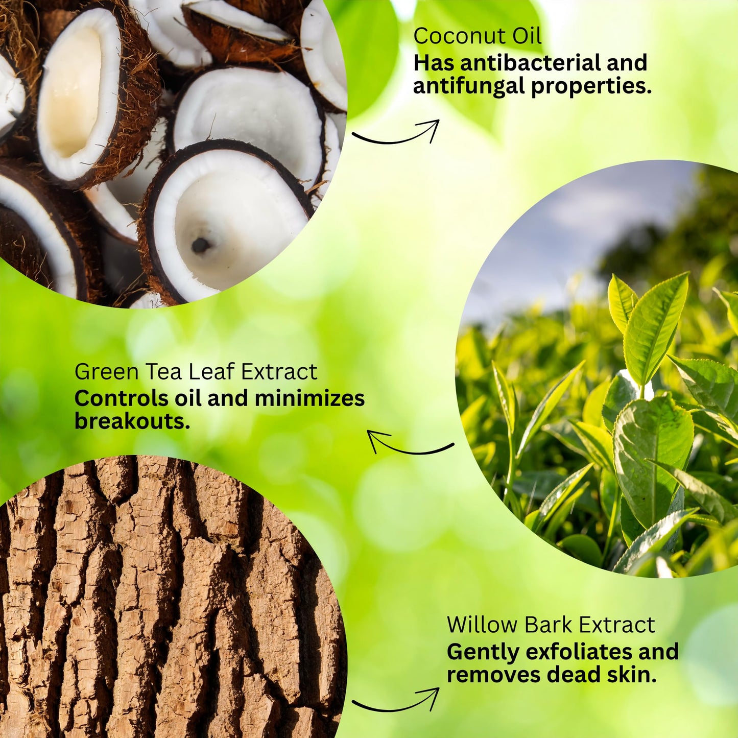 CocoLime Revitalizing Cleanser – Made in Canada Gentle Citrus Gel Cleanser for Dry & Sensitive Skin | Botanical Extracts | Non-Irritating | Dallium Beauty