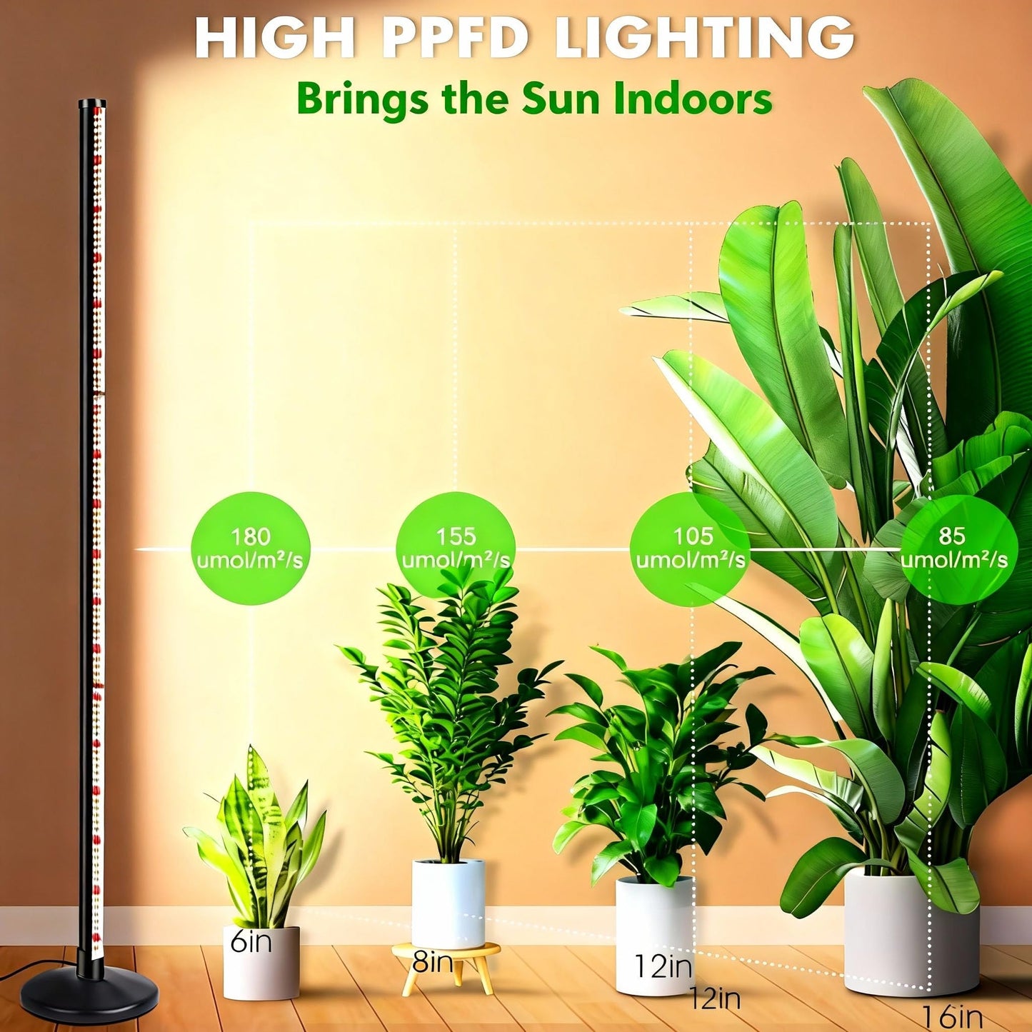 145CM Grow Lights for Indoor Plants: 36W, 6000K, 280 LEDs Full Spectrum Plant Light for Seed Starting with Timer and 10 Level Dimmable Standing Plant Growing Lamp for Greenhouse with Hanging Accessory