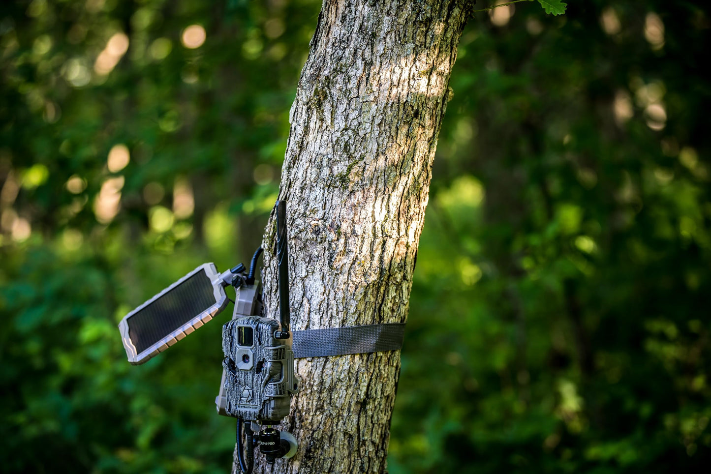 Stealth Cam Stealth Solar Power Panel, Multi, One Size