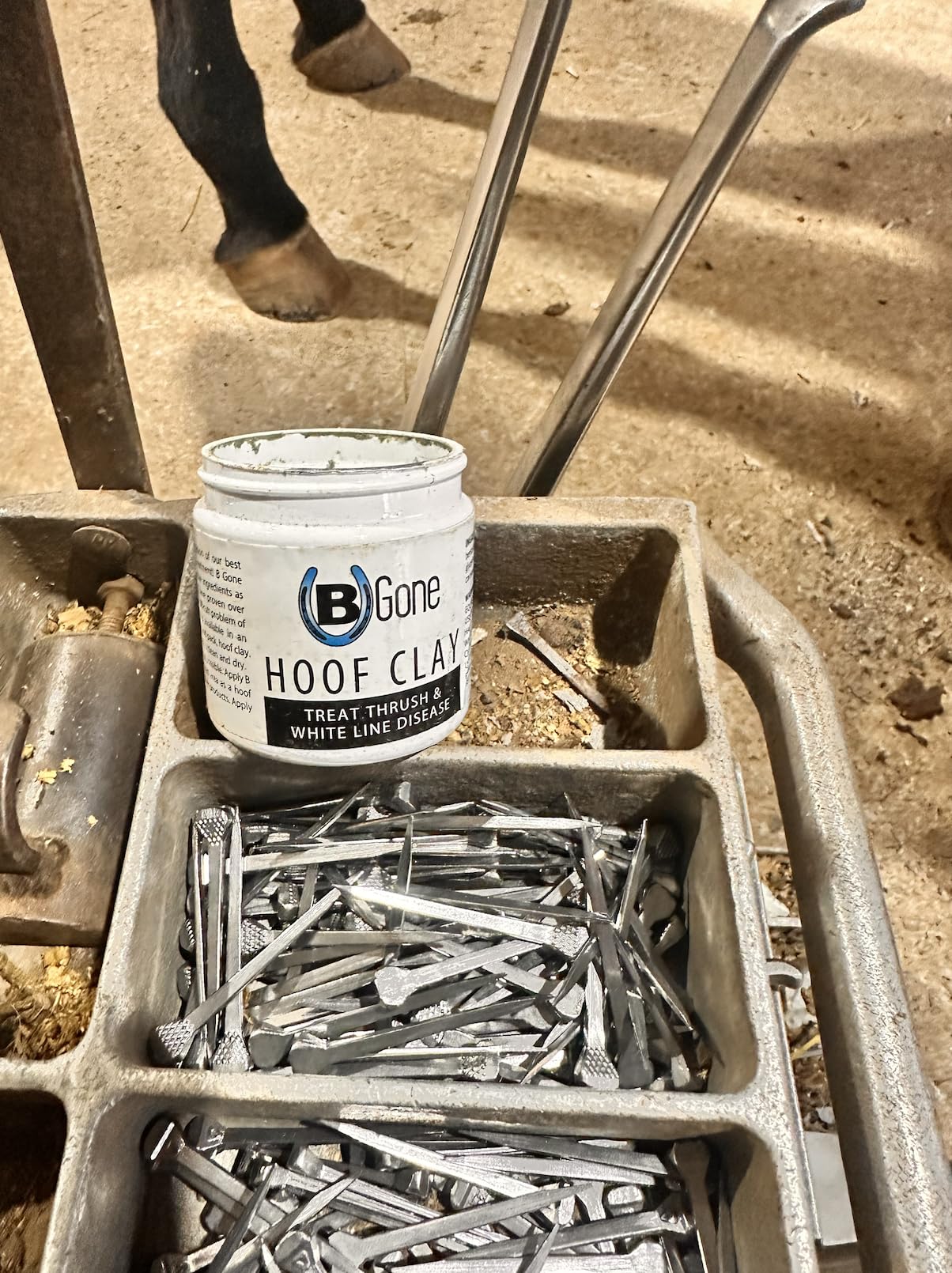 B Gone Hoof Clay - Official Store, for Equestrians, Horses with Whiteline Disease, Seedy Toe, Horse Care, White Line Prevention, Easy Apply Clay