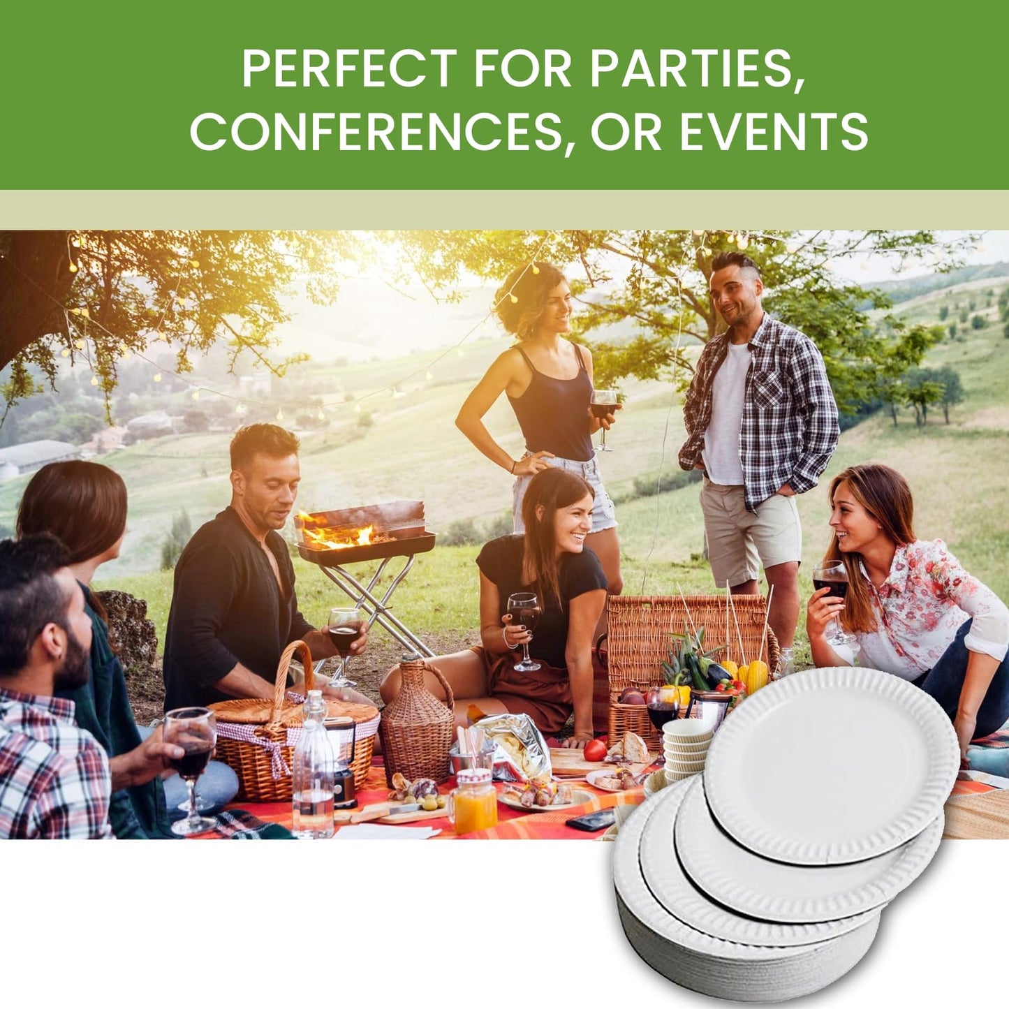 Perfect Stix Paper Plate 9-300 Paper Plates White, 9" (Pack of 300)