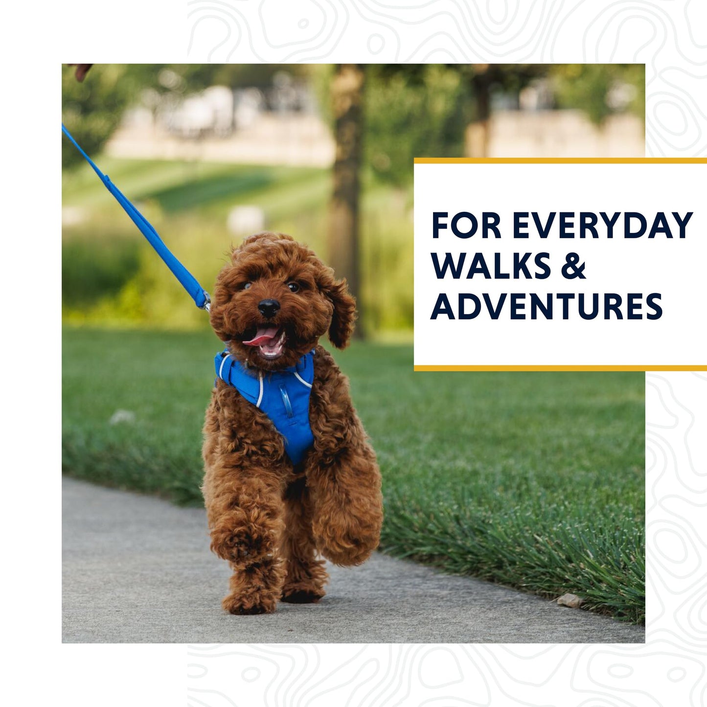 Ruffwear, Front Range Dog Leash, 5 ft Lead with Padded Handle for Everyday Walking, Spring Fade