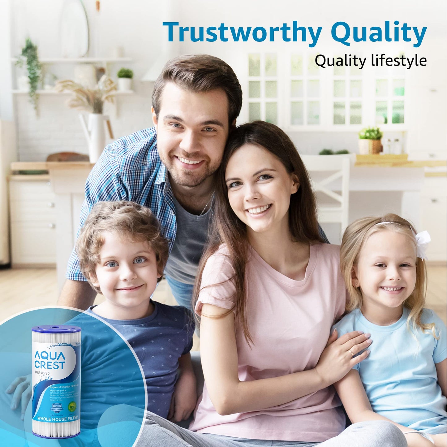 AQUACREST FXHSC Water Filter, Compatible with GE FXHSC, Culligan R50-BBSA, Pentek R50-BB and Dupont WFHDC3001, American Plumber W50PEHD, GXWH40L, GXWH35F Whole House Filter(Pack of 2)