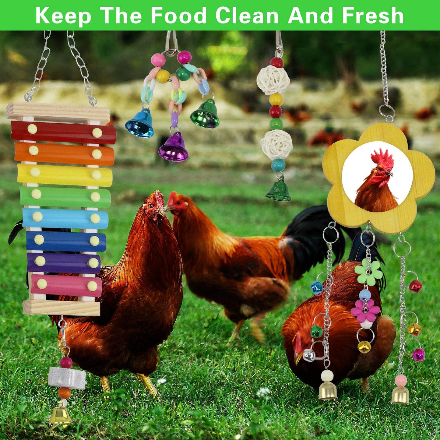 Qivine Chicken Toys for Coop with Swings for Coops, 10Pcs Chicken Toys for Your Chickens with Chicken Mirror, Hanging Chicken Enrichment Toys for Chickens