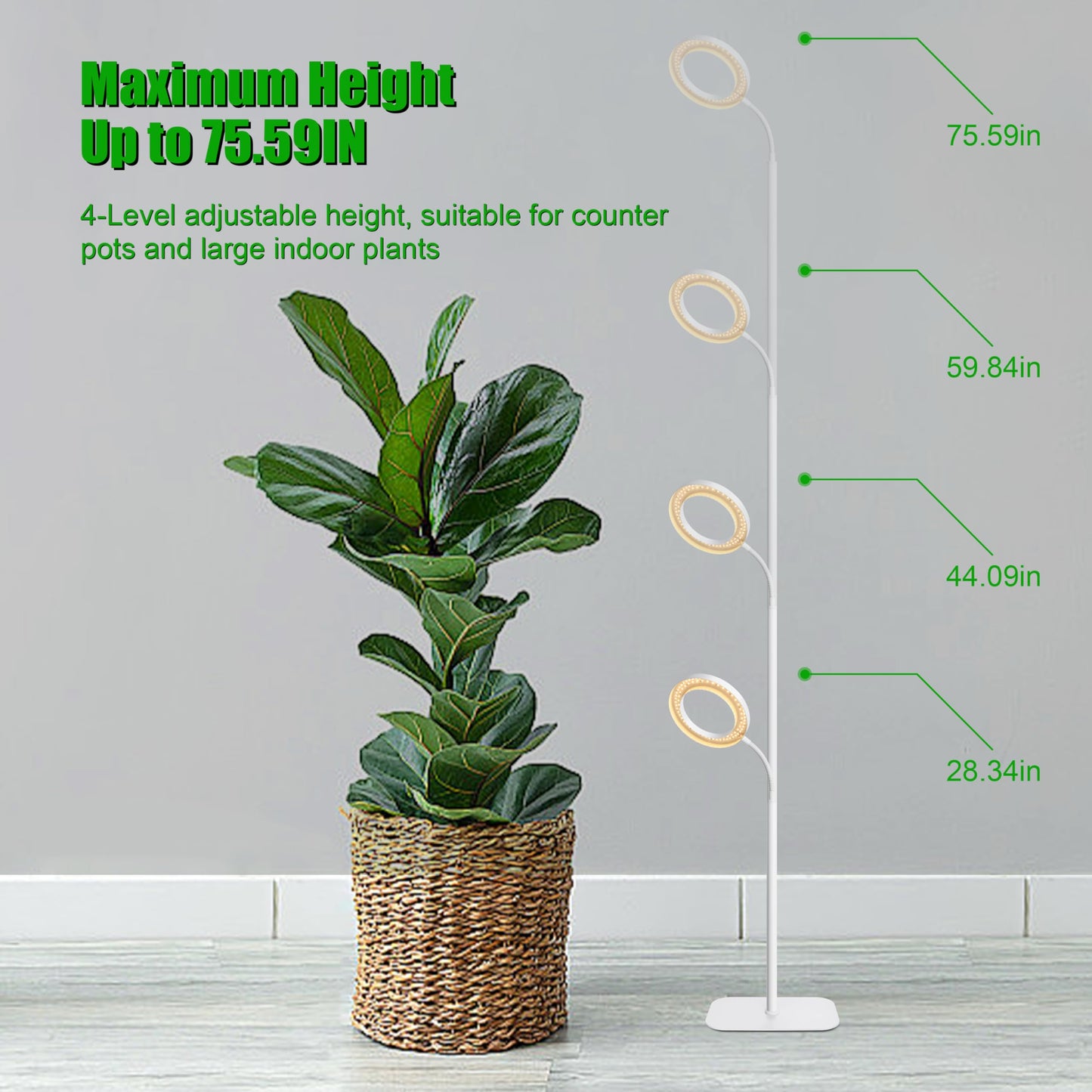 LED Full Spectrum Grow Lamps for Indoor Plants with 3/9/12H Timer, 10 Level Dimmable, Height Adjustable Standing Plant Light for Large Tall Small Plants - Matte White, Halo Ring Floor Grow Light