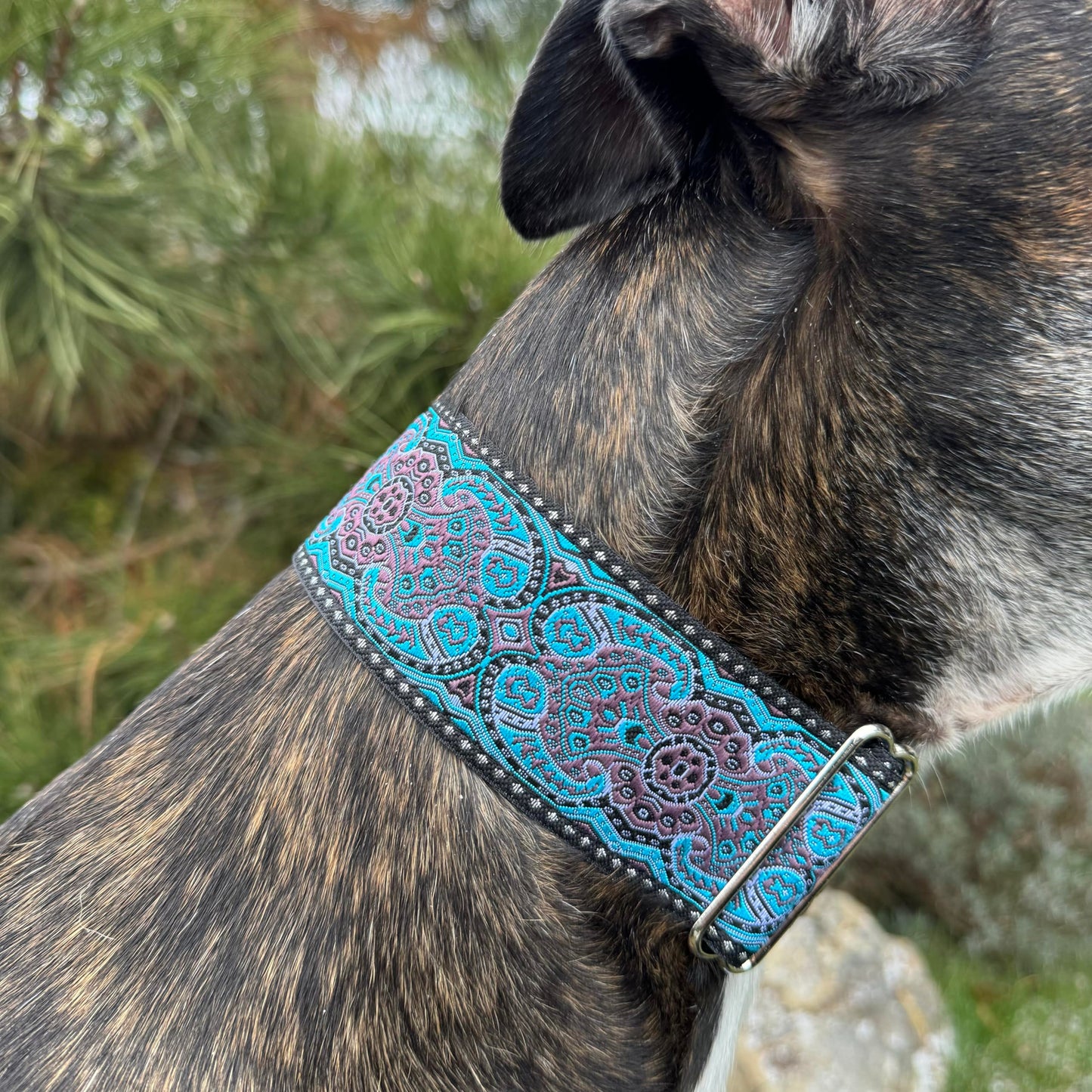 Martingale Dog Collar for Greyhound Saluki Whippet and Other Breeds with Similar Neck 2" Wide (14"-18")