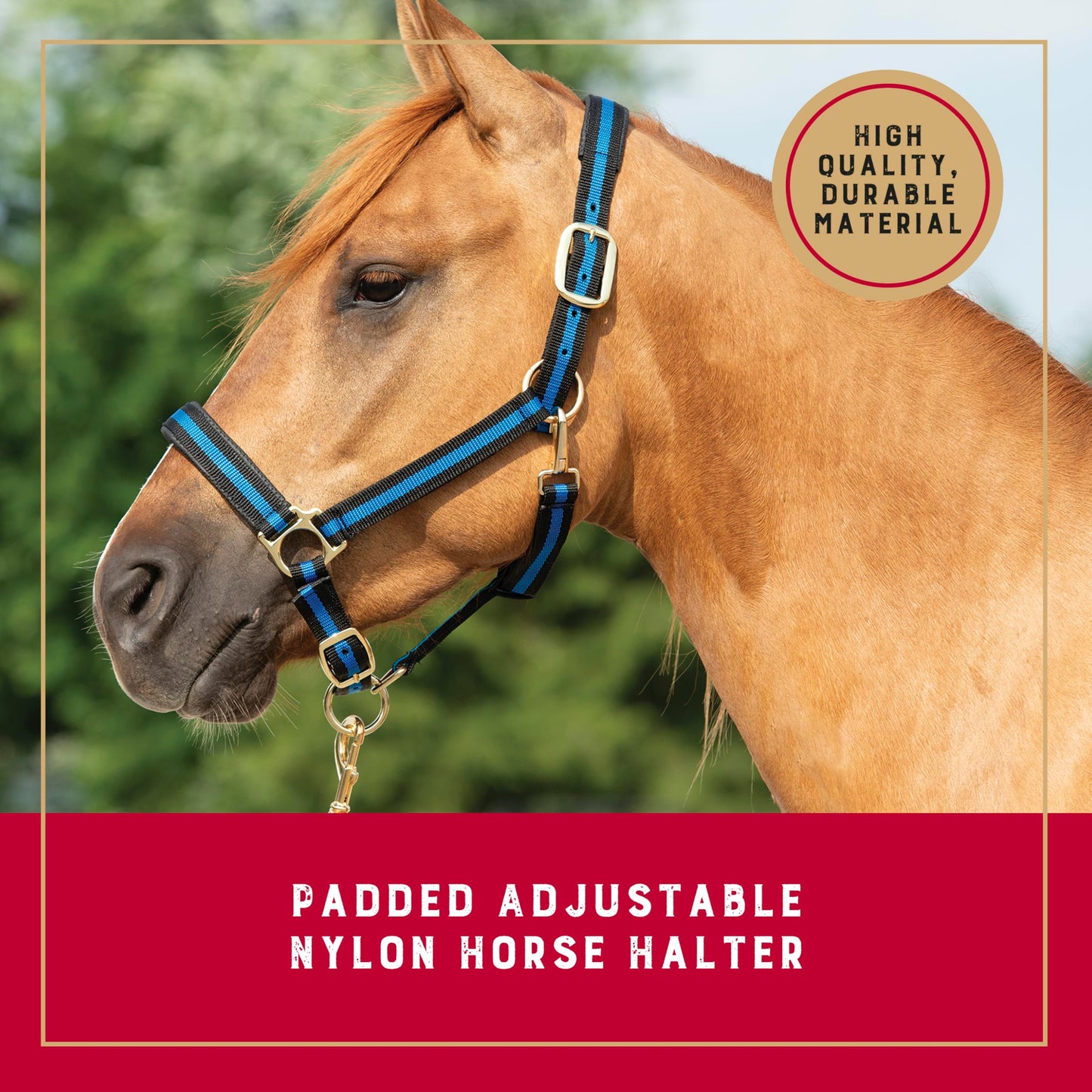 Weaver Leather 35-7436-TU Basic Adjustable Chin and Throat Snap Halter, 1-Inch Large Horse, Turquoise
