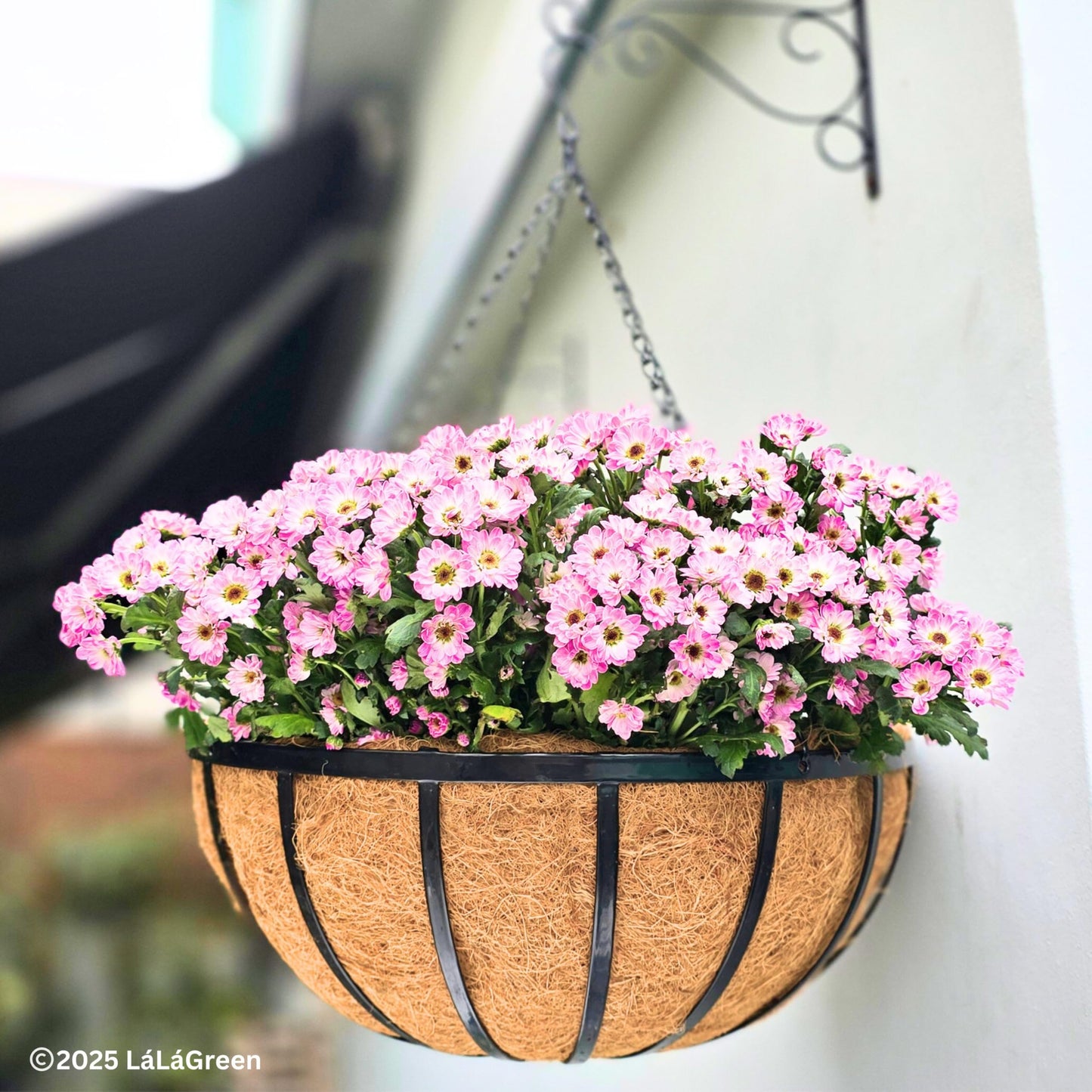 LaLaGreen Outdoor Hanging Baskets for Plants (18 Inch, 2 Pack) Extra Large Black Metal Flat Iron Hanging Planters with Coco Liner Round Flower Pot Holder Hanger Deck Porch Modern Garden Balcony Decor