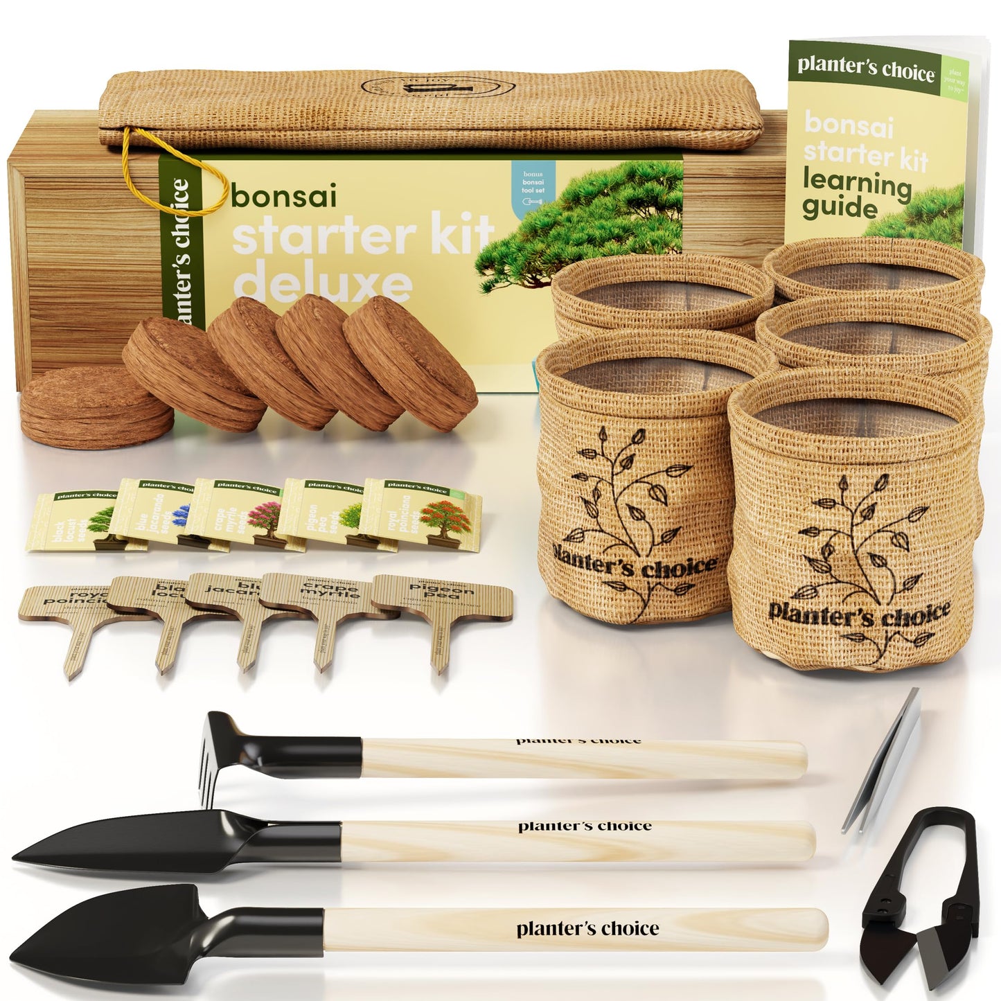 Planter's Choice Bonsai Tree Starter Kit - Unique Gifts for Women, Men - Gifts for Adults - Indoor Live House Plants - DIY Crafts for Adults Craft Kits - Hobby Gift for Gardening Lovers
