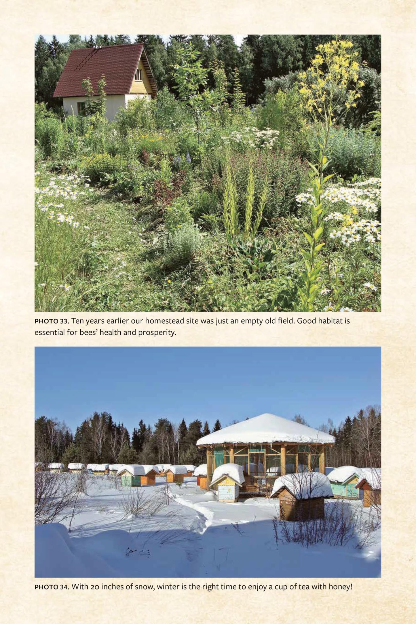 Keeping Bees with a Smile: Principles and Practice of Natural Beekeeping
