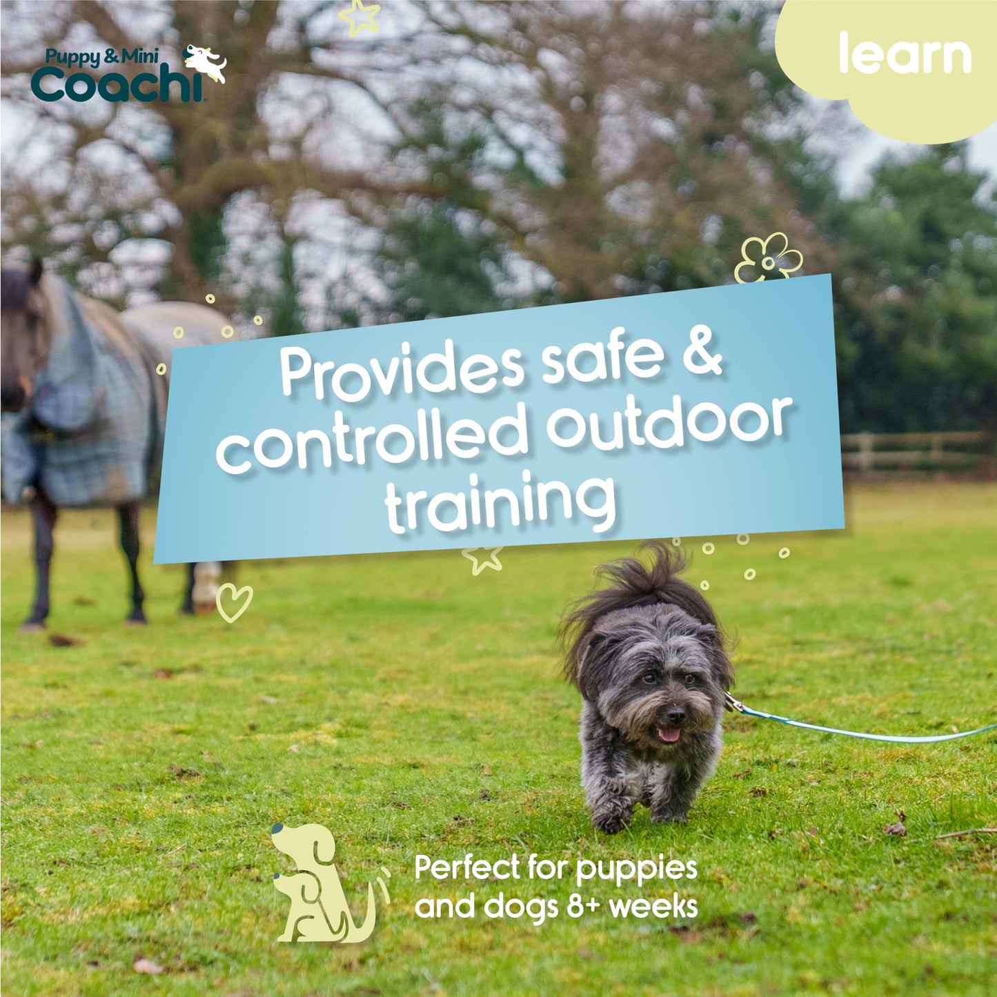 Coachi Puppy & Mini Waterproof Training Line - Safe Outdoor Recall Training, Dog & Puppy Socialisation, Lightweight, Prevents Chasing. Suitable for Puppies and Small Dogs (5 m)