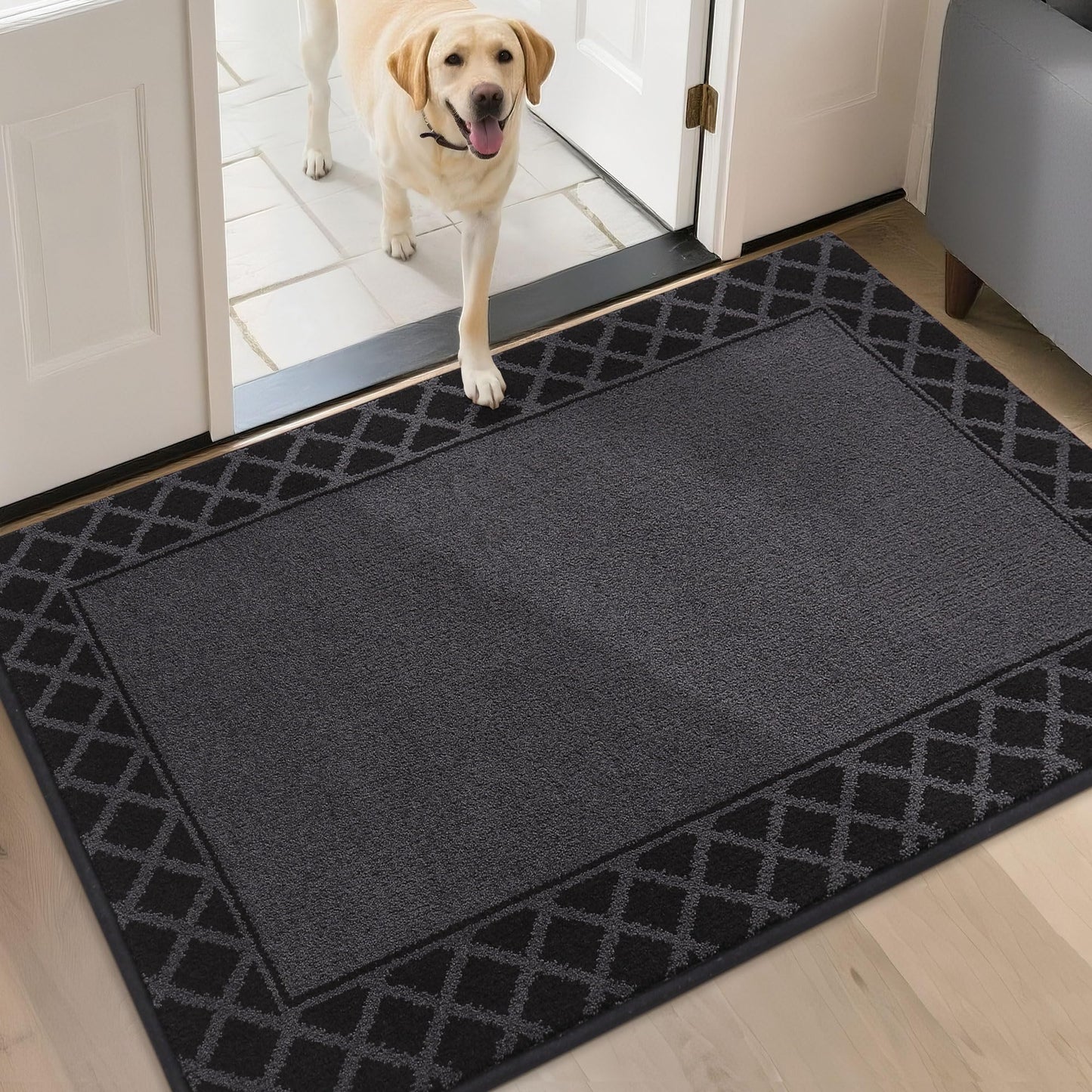 BEQHAUSE Door Mat Dirt Trapper Non Slip Entryway Rugs Absorbent Welcome Mat Low Profile Washable Front Door Mat for Muddy Paws,Entrance,Hallway, 32" x 48", Black