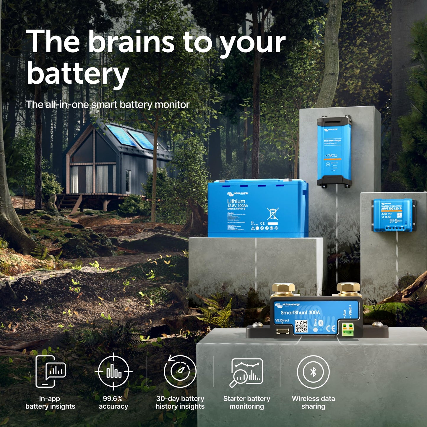 Victron Energy SmartShunt 300A 50mV Battery Monitor (Bluetooth)