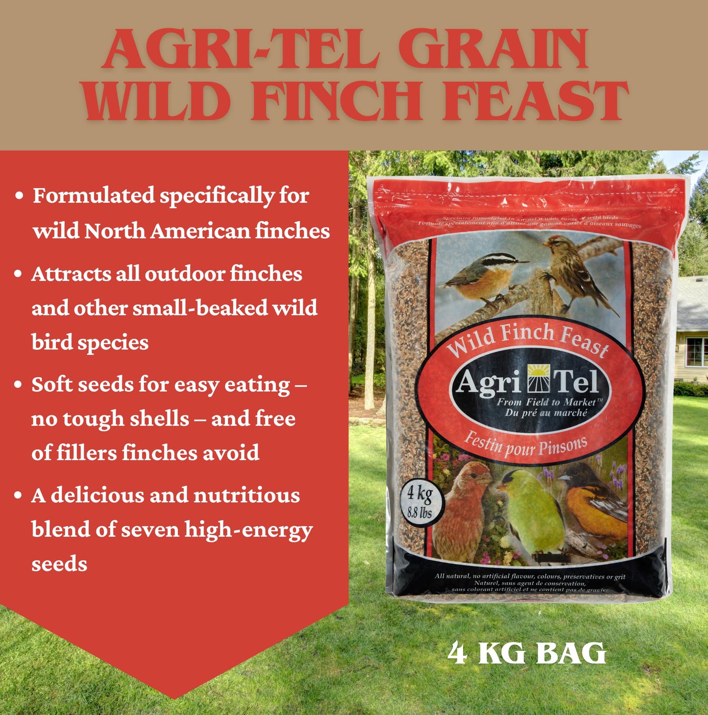Agri-Tel Grain Wild Finch & Small Bird Food for Outside Feeders | Nyjer (Thistle) Bird Seed, Canary Seed, Millet, Hemp, etc | Finch Feed 4kg (9 lbs)