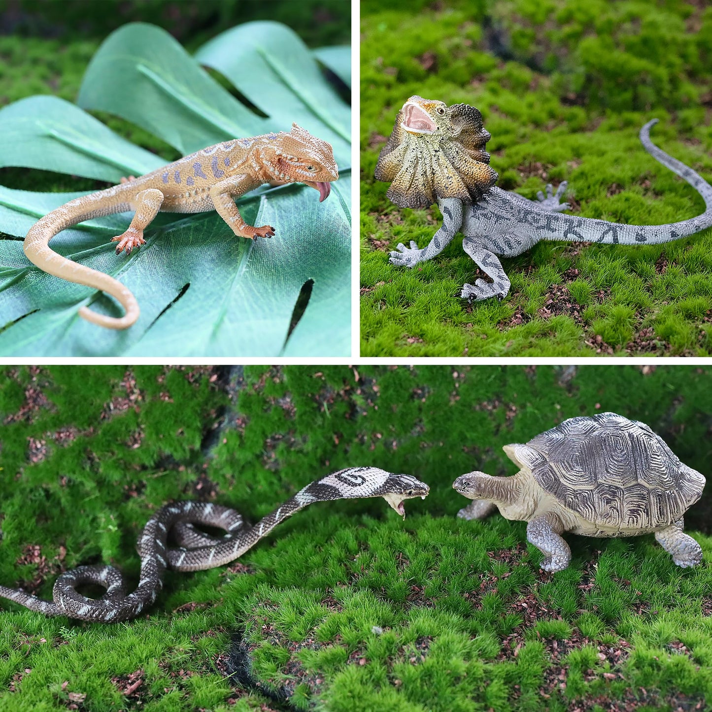 TOYMANY 12PCS Reptile Animal Figurine Toy Set,Cold Blooded Amphibians Jungle Animals Figures with Dragon Lizard Snake Chameleon Halloween Birthday Gift Party Favor School Project for Kids Toddlers