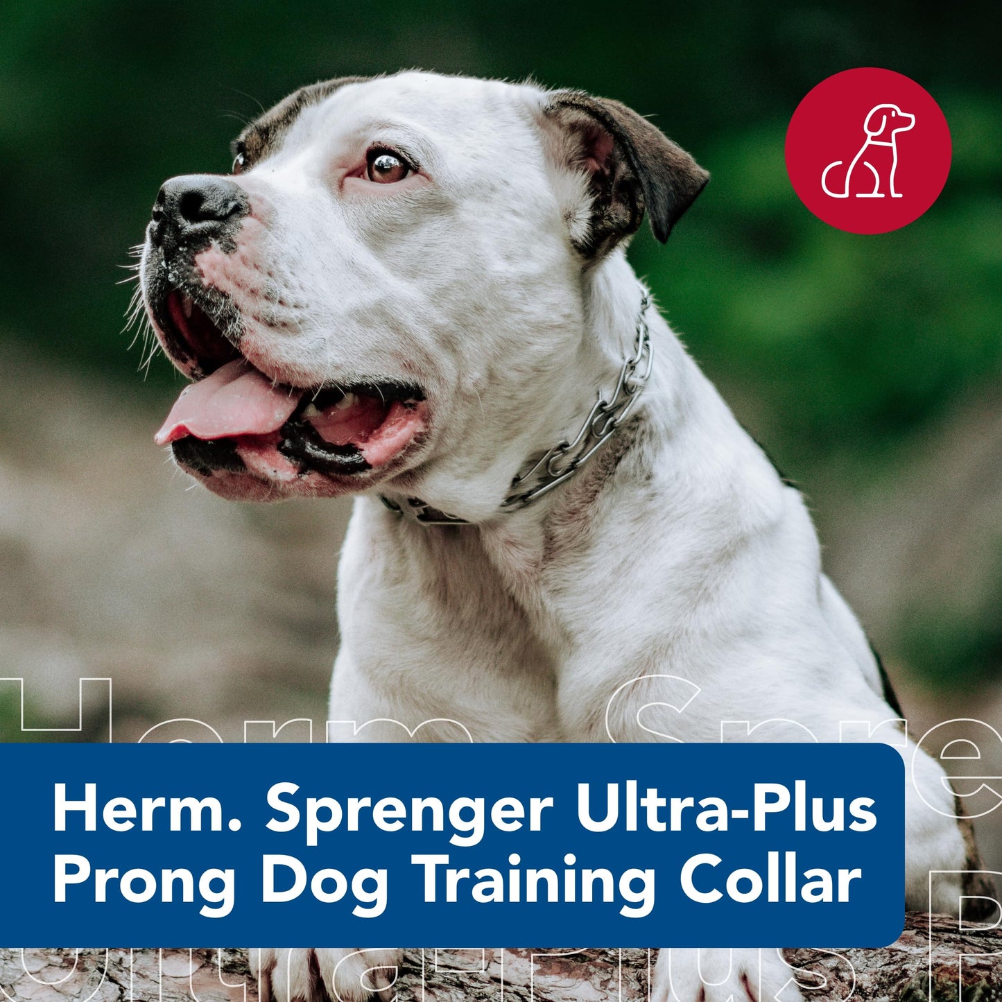Herm Sprenger - Ultra-Plus Prong Dog Training Collar - Chrome - 3 mm x 18" Neck Size; 22" Chain Length