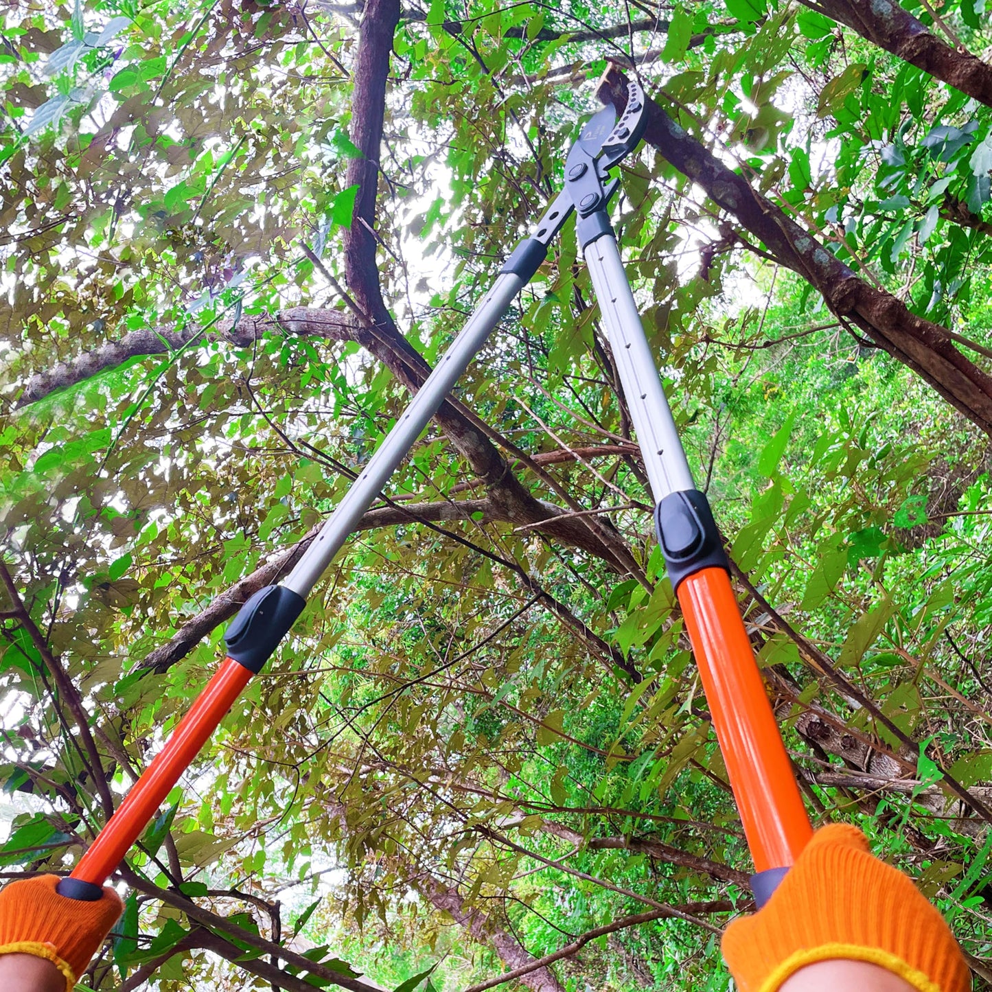 Prunrt Loppers for Tree Trimming Heavy Duty, 26-40 Inch Handle Telescopic Tree Trimmer, Sync Drive Power Lever Pruner, 2 Inch Branch Cutter
