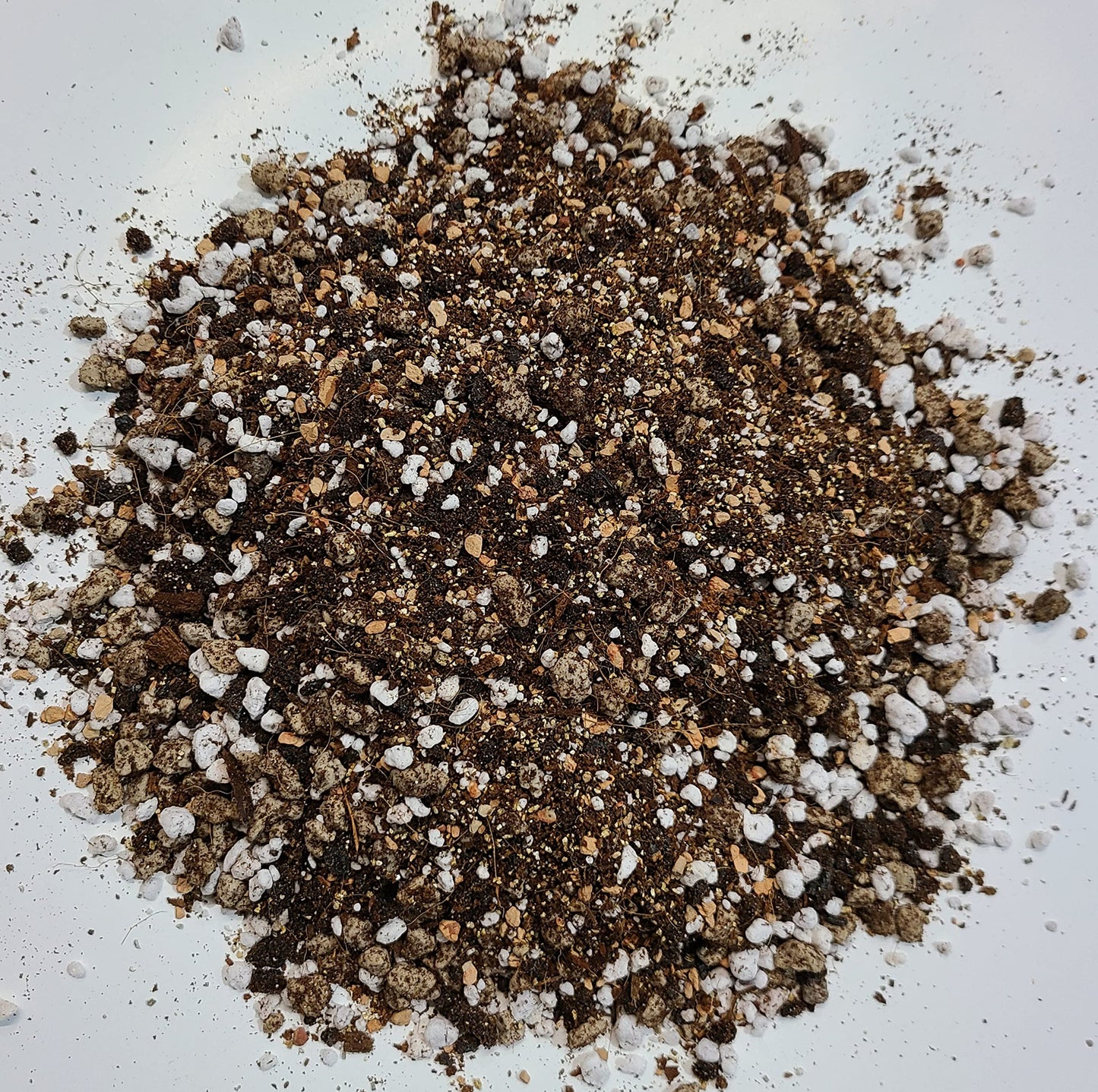 M.M BASICS Succulent Soil Mix/Cactus Soil, Mixed with Volcanic Pumice, Coarse Perlite, Calcined Clay, Black Lava Rocks, Fine Vermiculite and Coco Coir, Well-Draining and Healthy Roots, (4 litres)