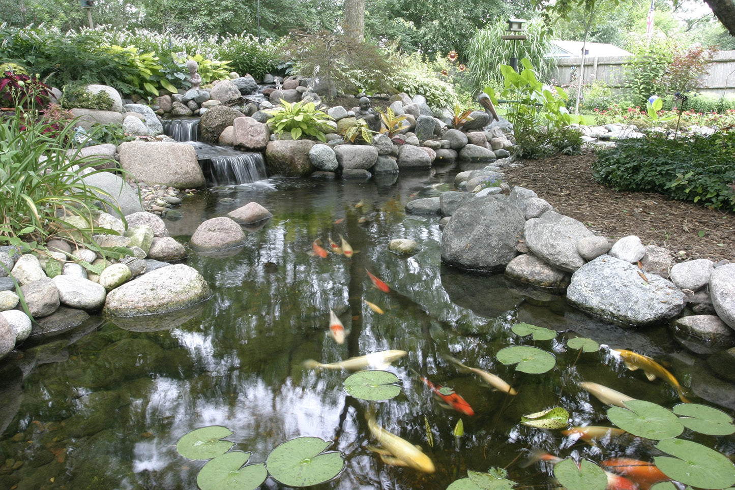 Aquascape Cold Water Beneficial Bacteria for Pond and Water Features, 32-Ounce, 98894