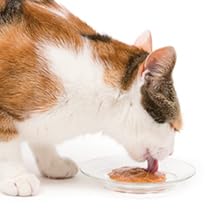 Catit Creamy Lickable Cat Treat, Healthy Cat Treat, 4 flavours, 80 tubes, 800g (80 X 10g)